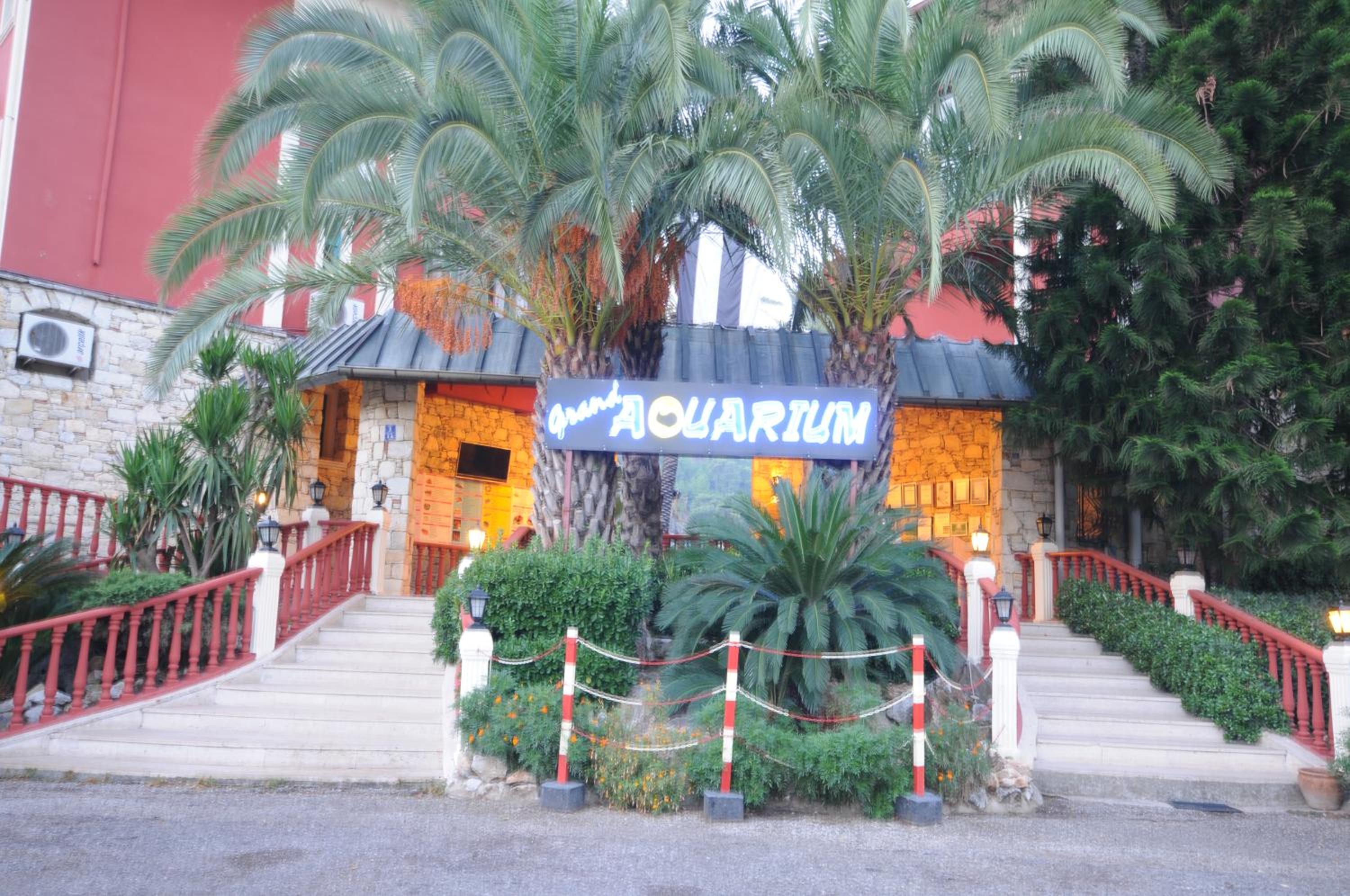 Grand Aquarium - Image 17