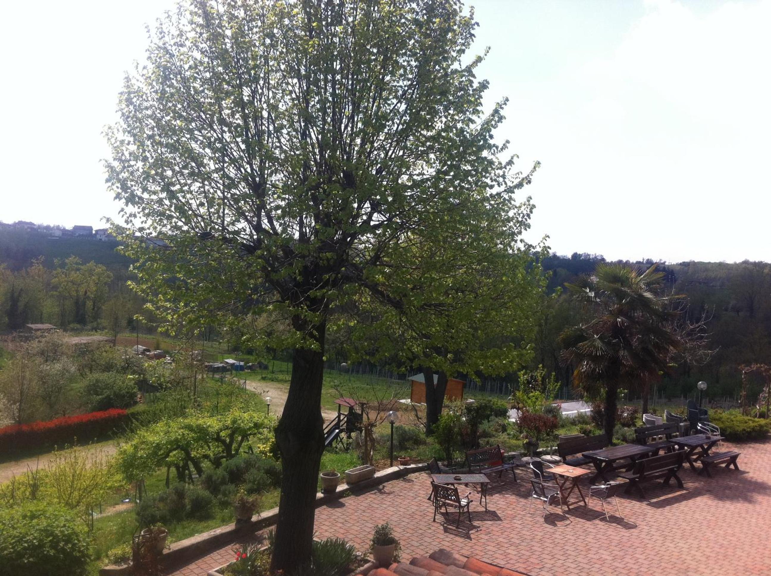 Photo 14