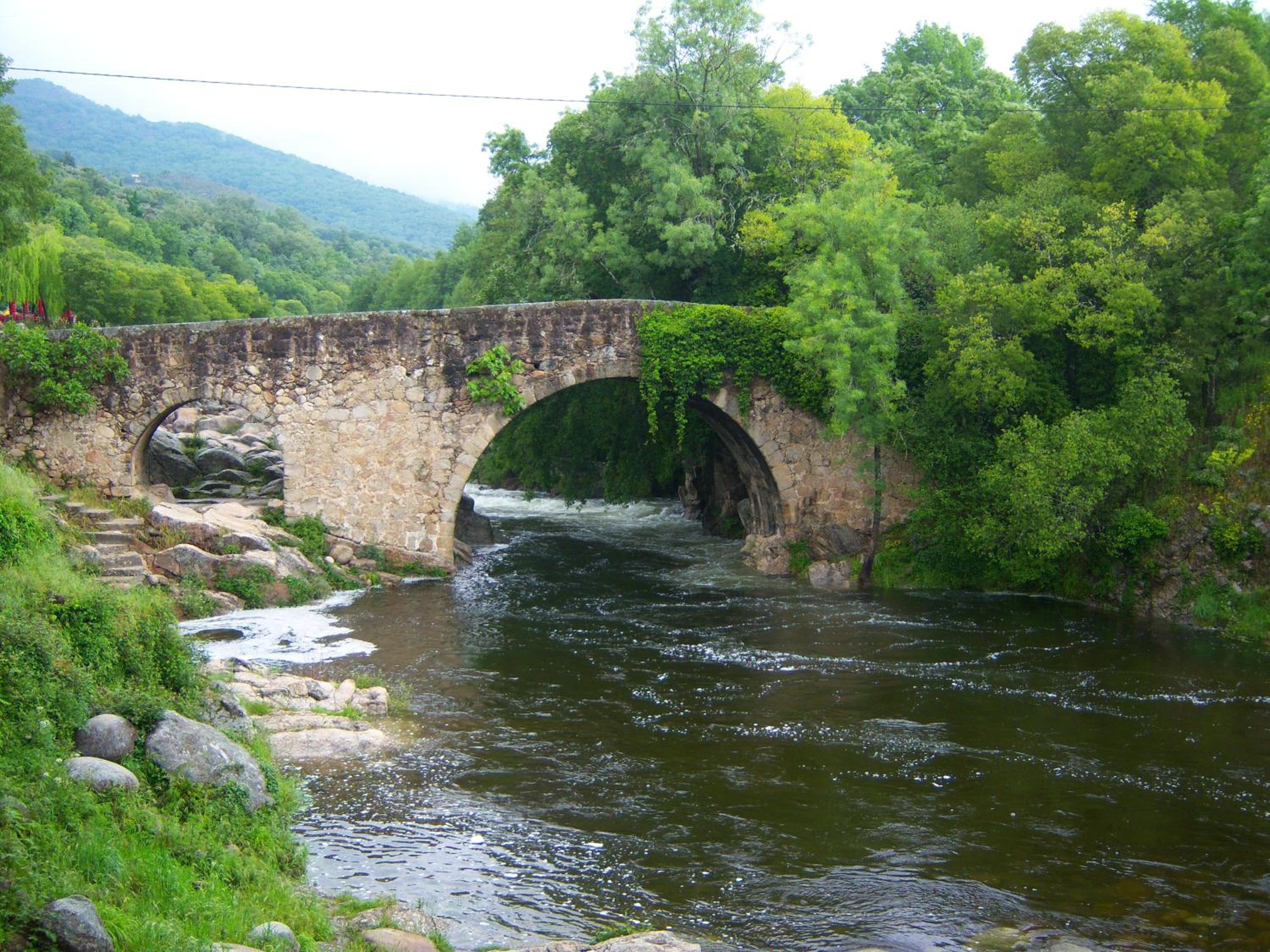 Photo 35