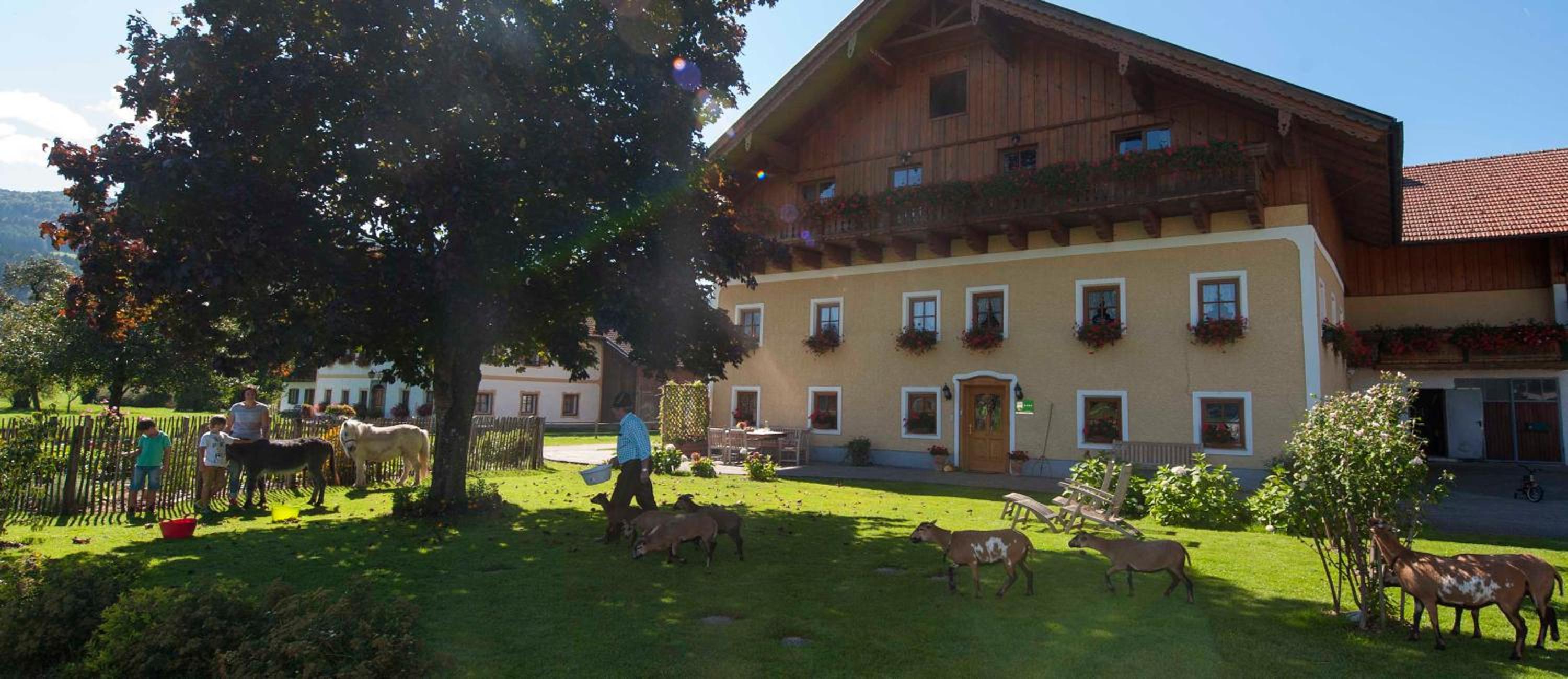Kinderparadies Bachbauer