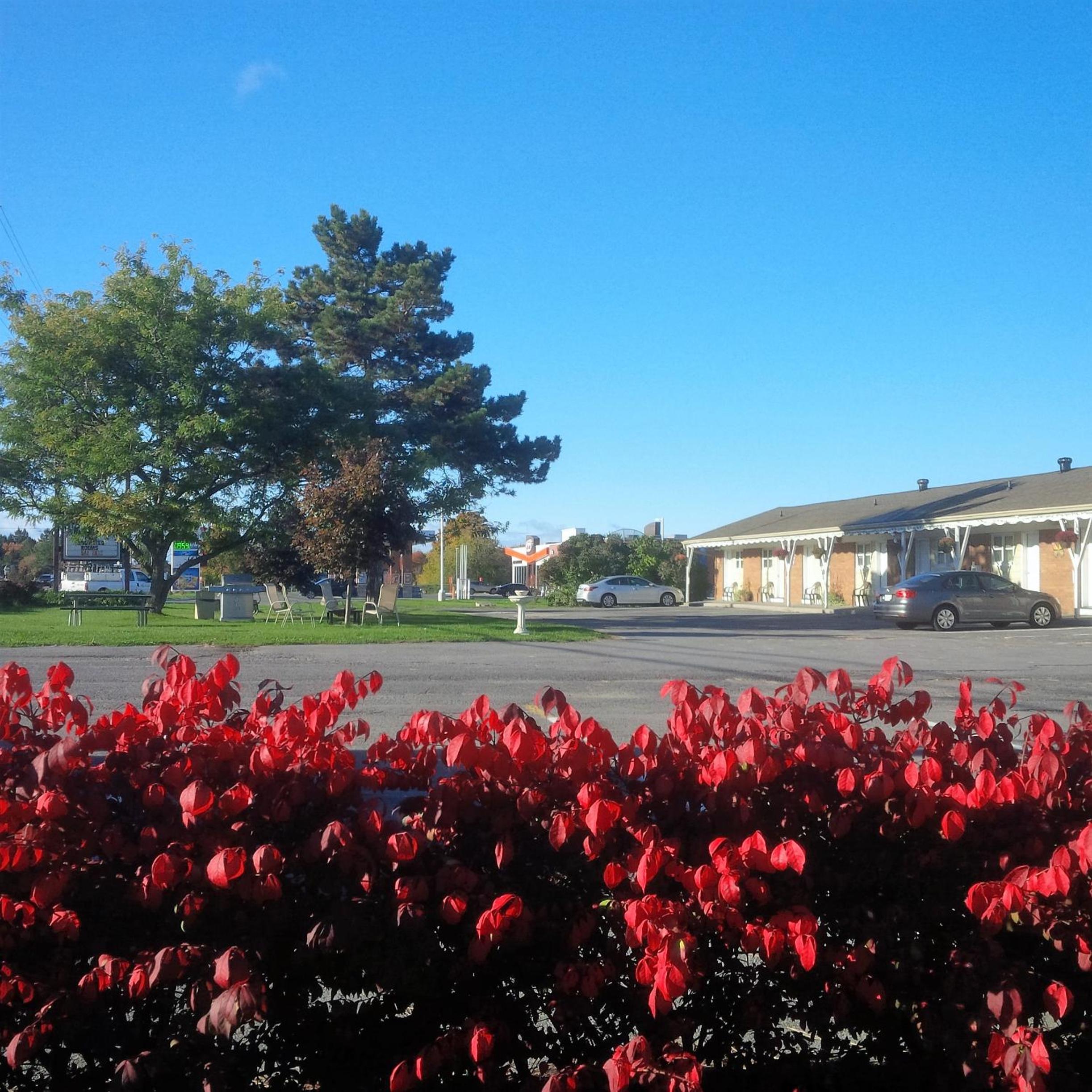 Lord Nelson Motel