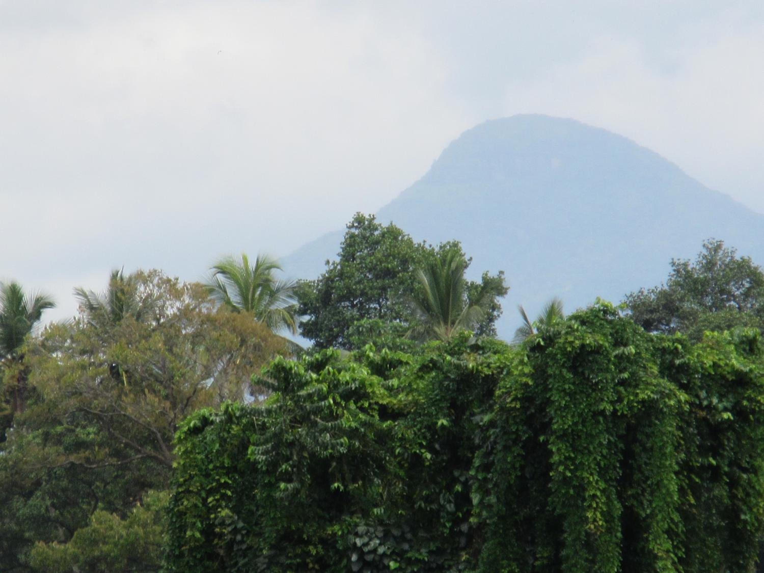 Nature Walk Resort
