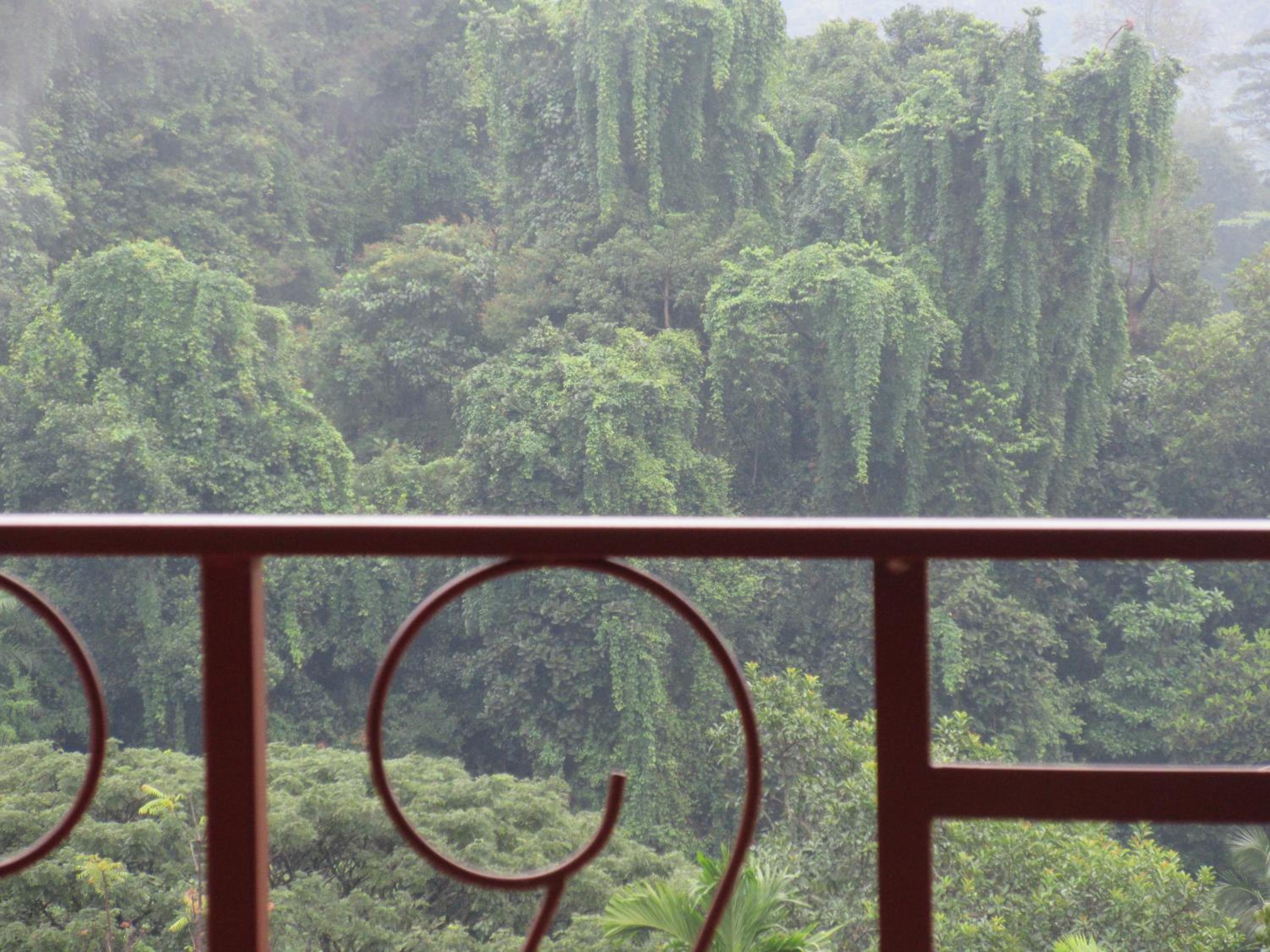Nature Walk Resort