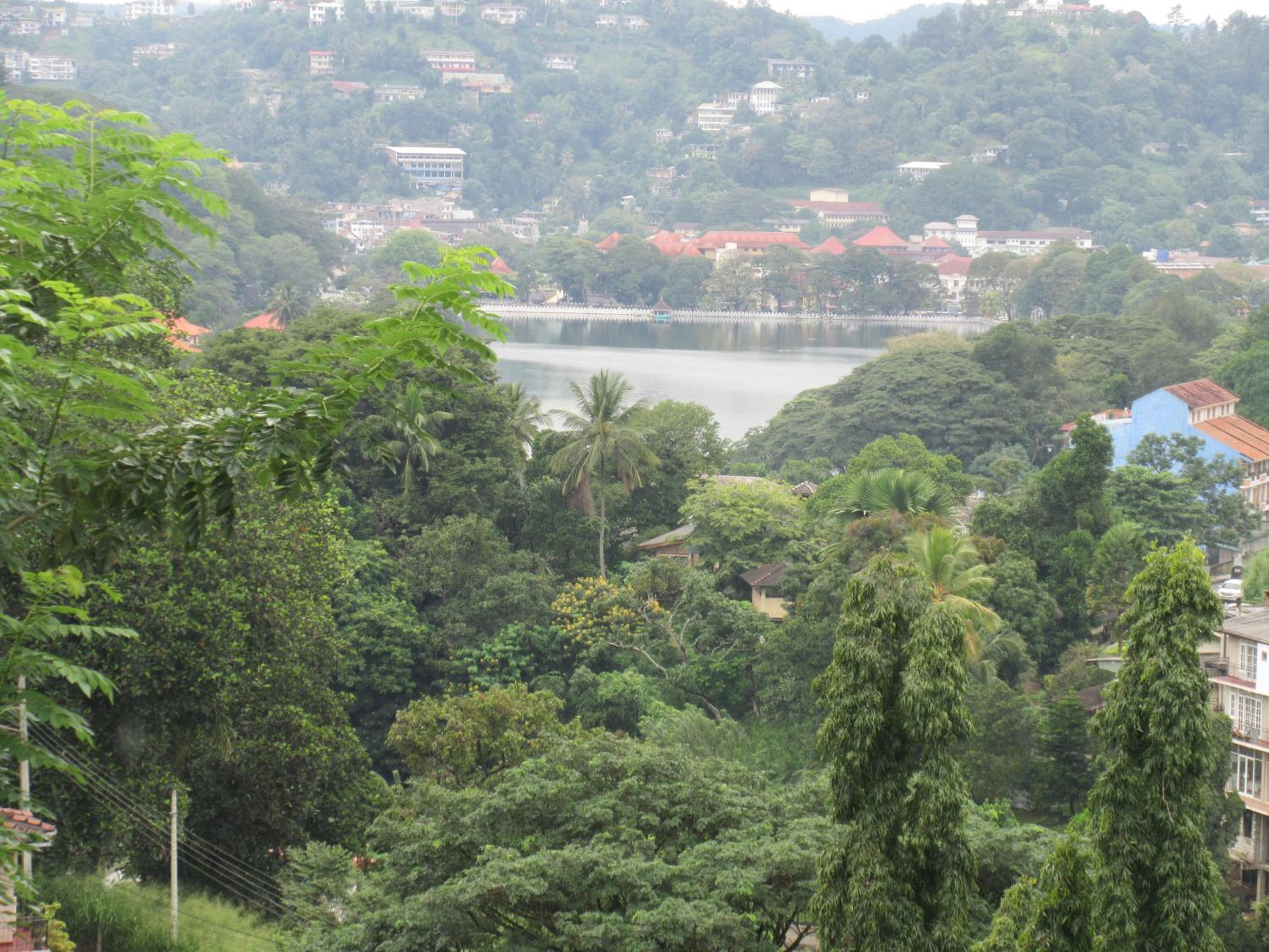 Nature Walk Resort
