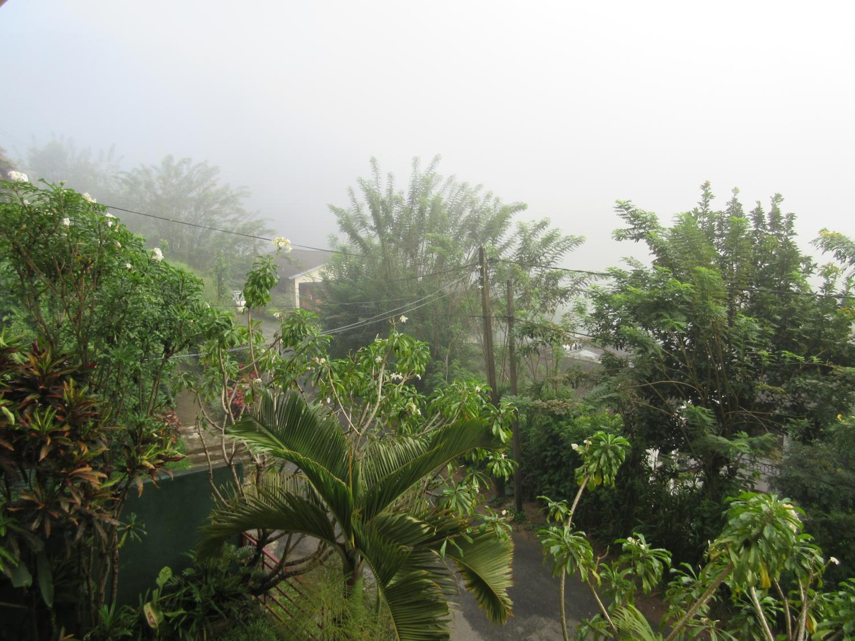 Nature Walk Resort