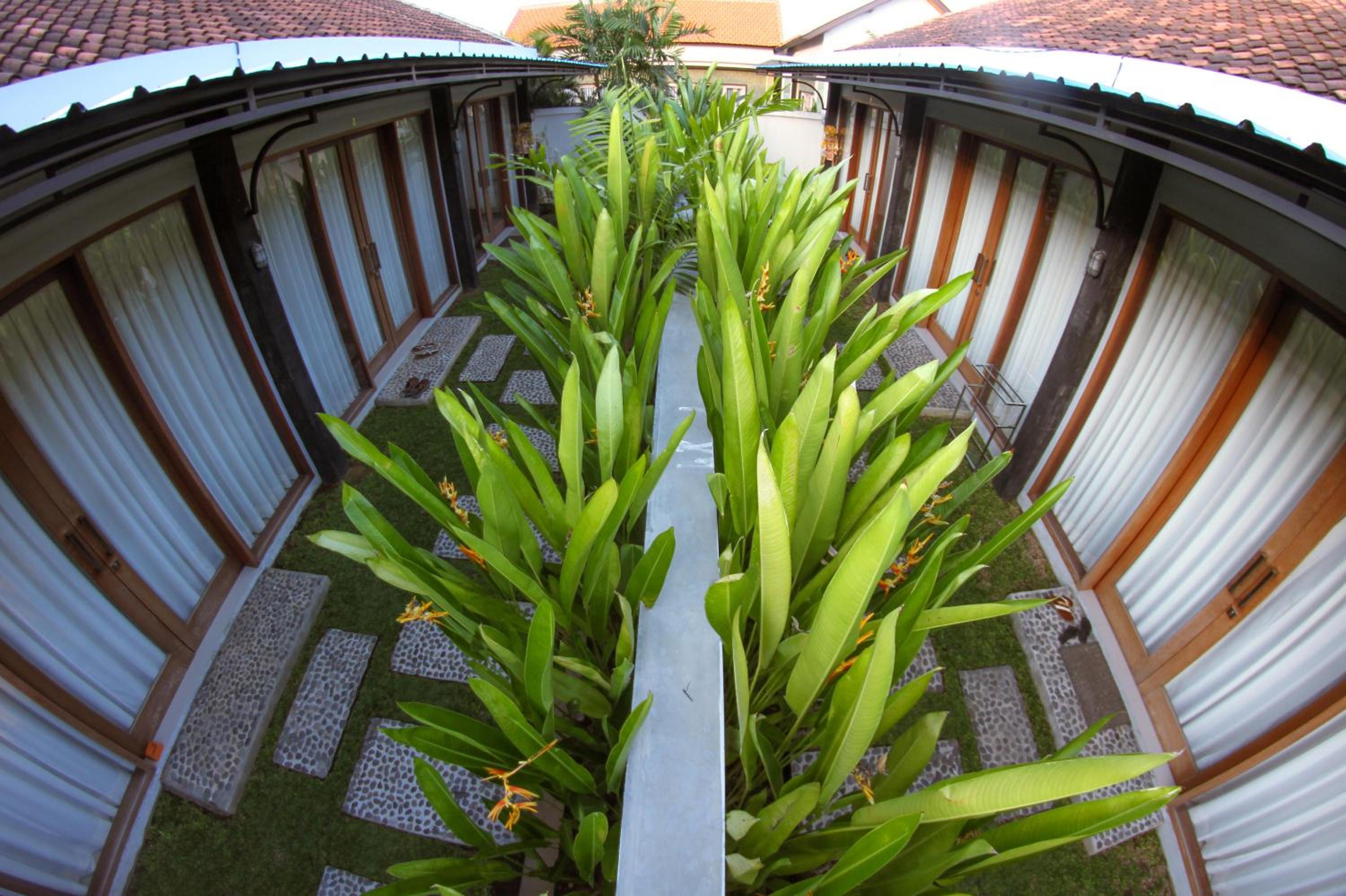 Canggu Beach Inn