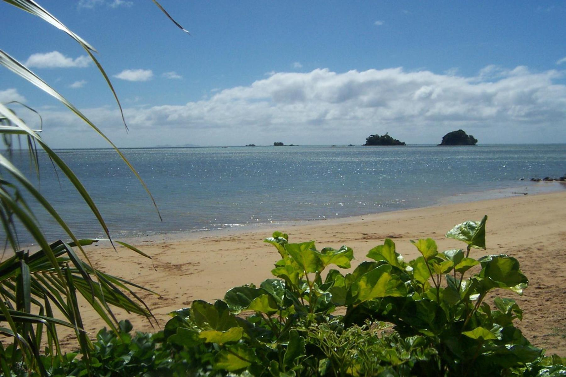 Coconut Grove Beachfront Resort