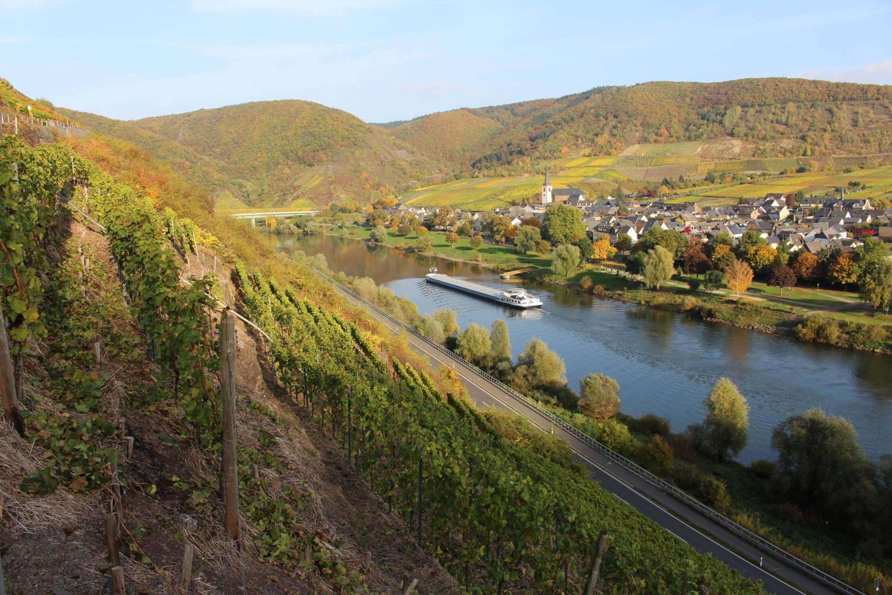 Ferienwohnungen Am Bruttiger Moselsteig