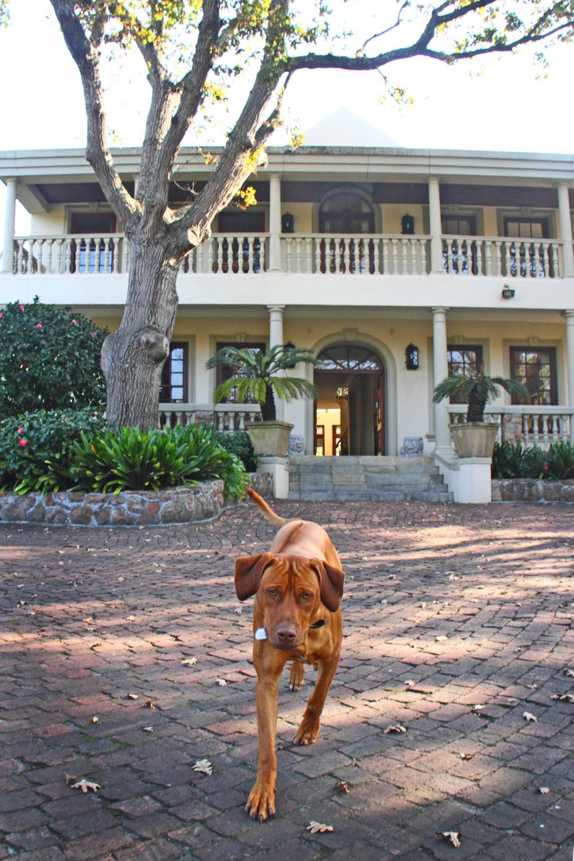 Ibis House