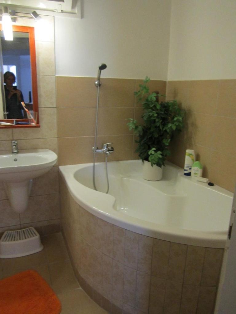 Toldi Apartman view 5