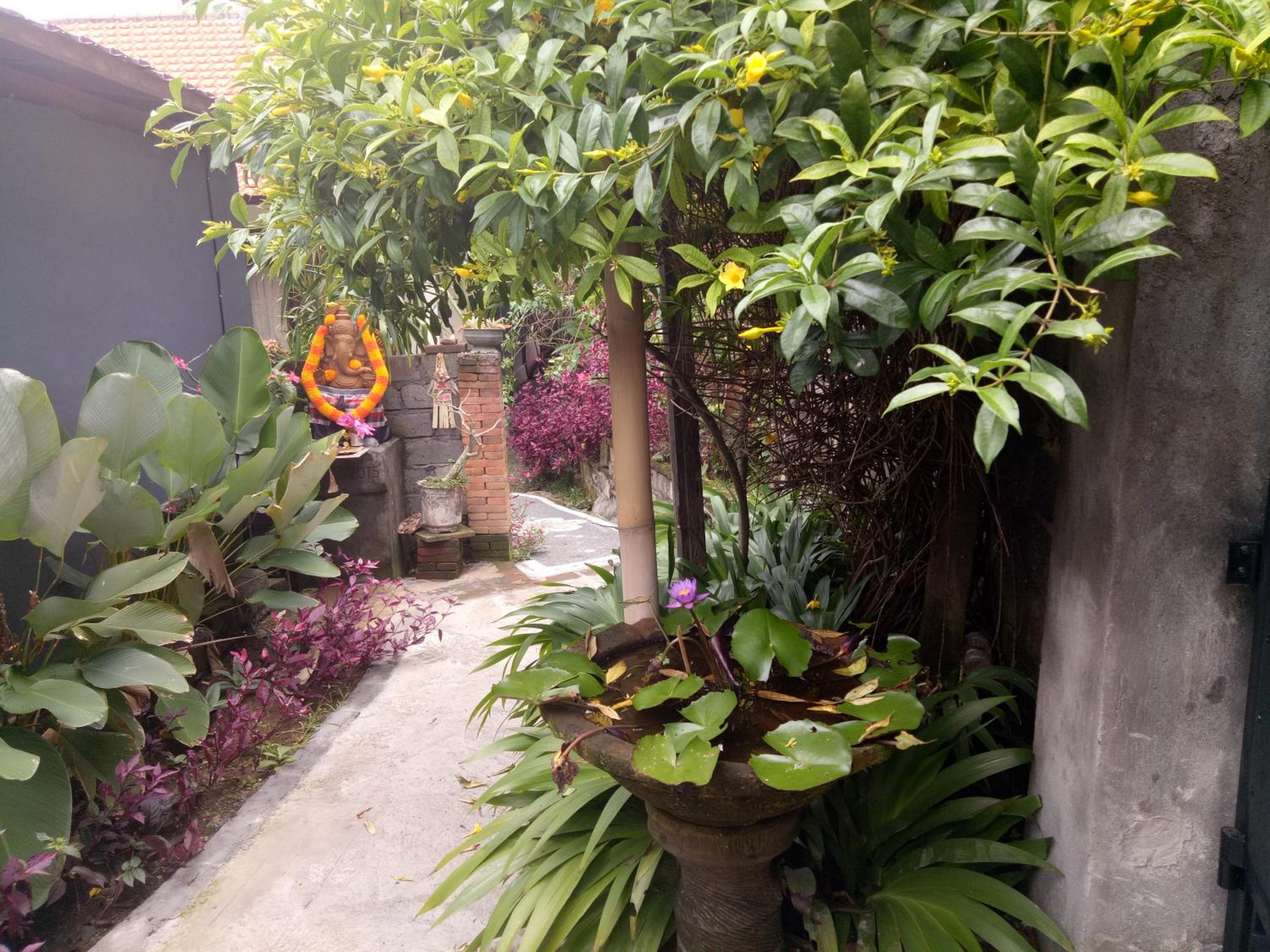 Photo 38