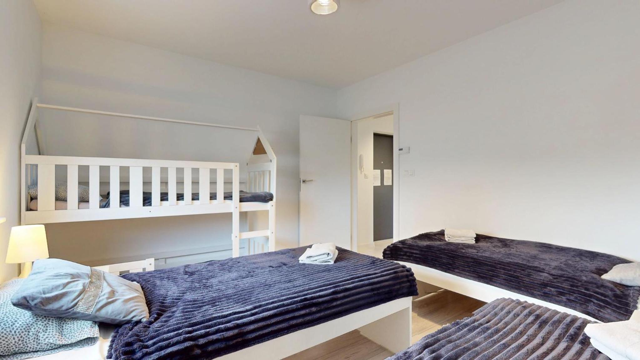 Apartament Fibra Grande, photo 3