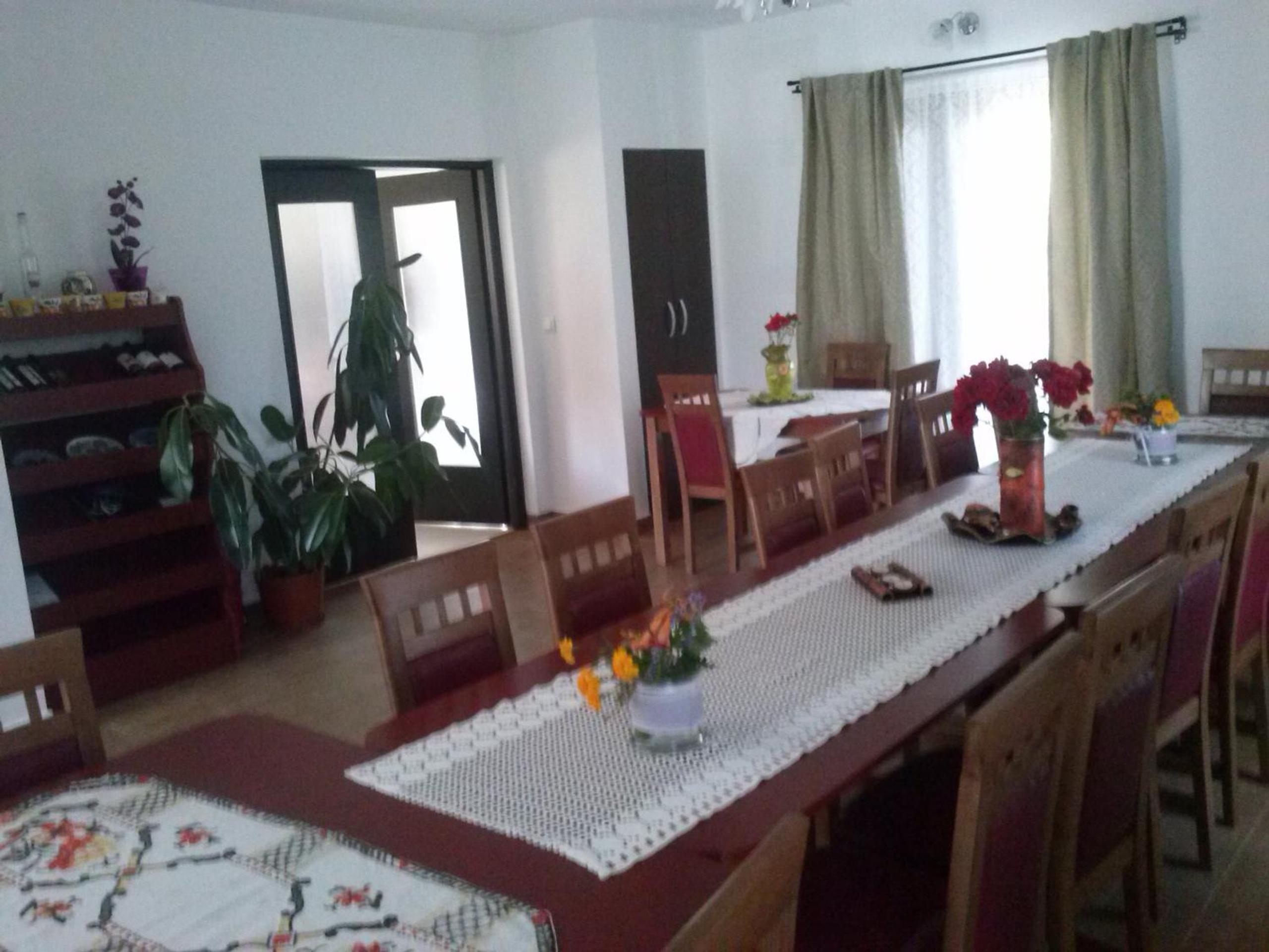 Pensiunea Dorel Codoban view 4