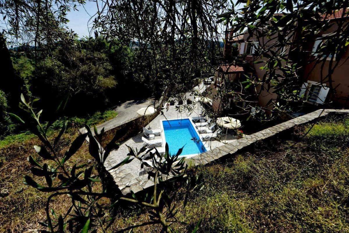 Villa Natalia