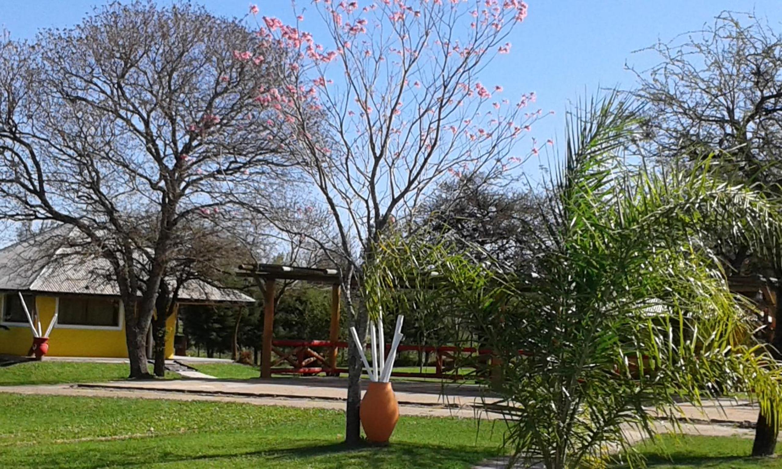Cabañas La Soñada