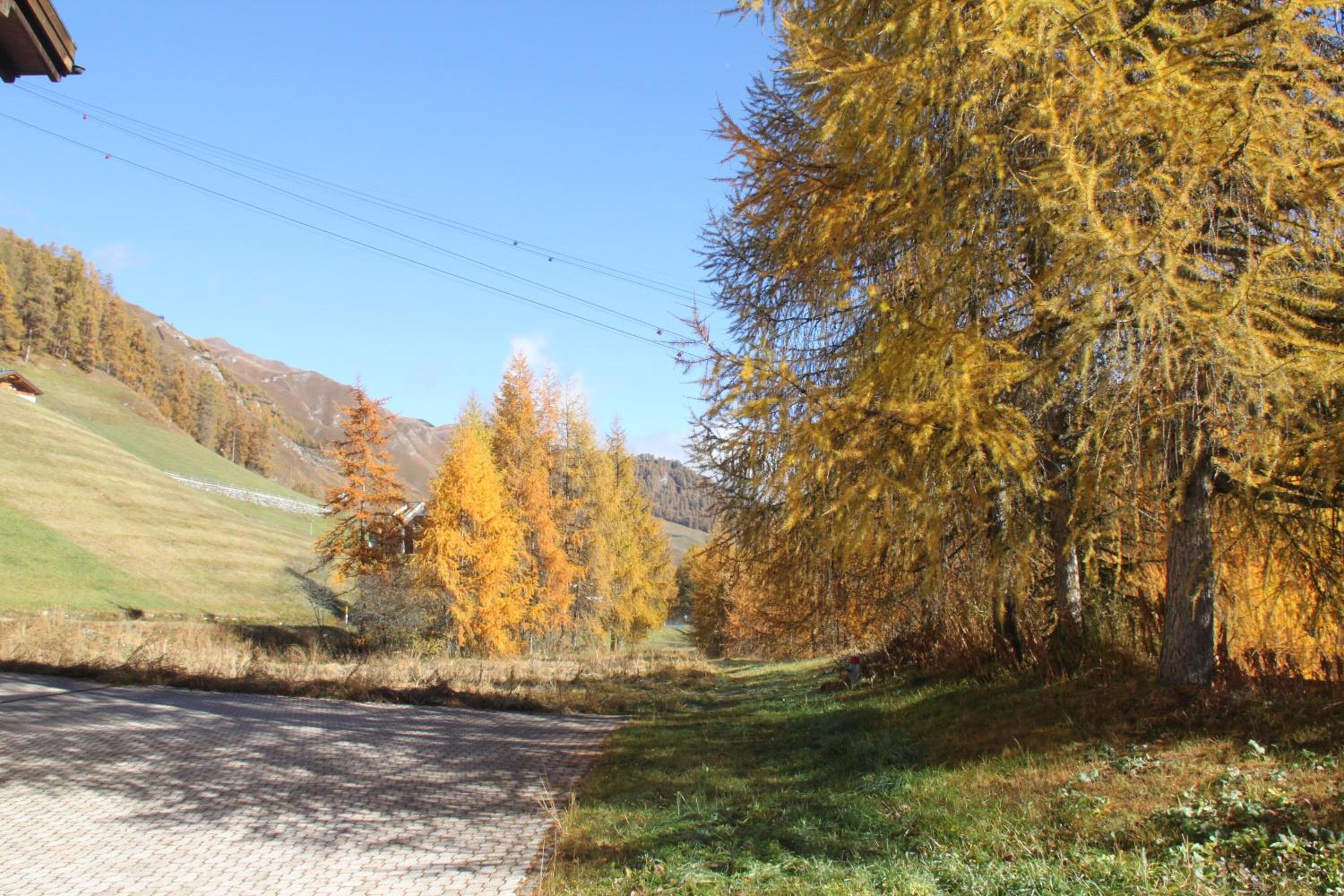 Photo 30