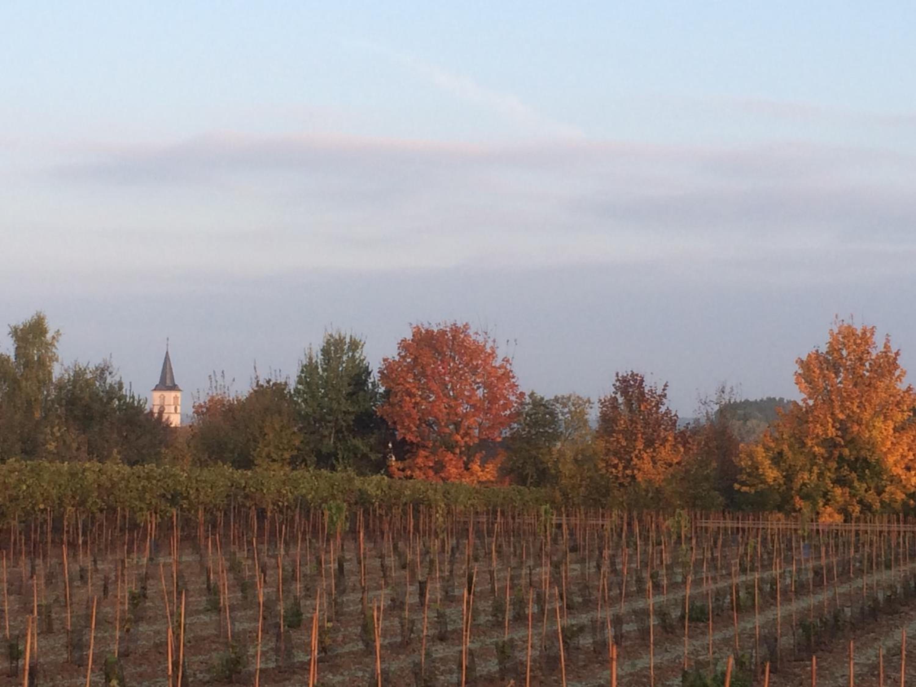 Alte Heimat