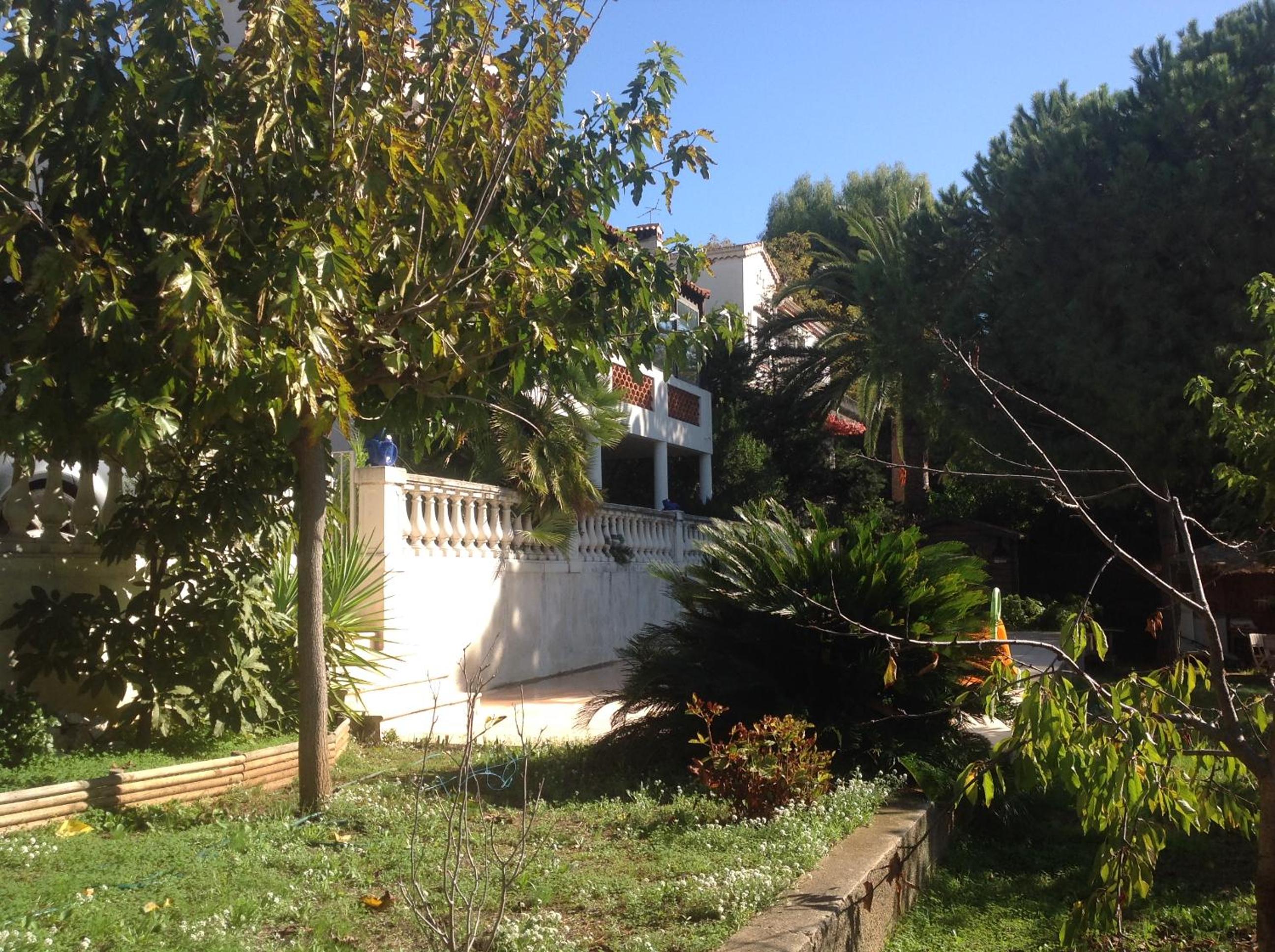 La Nectarine, photo 7