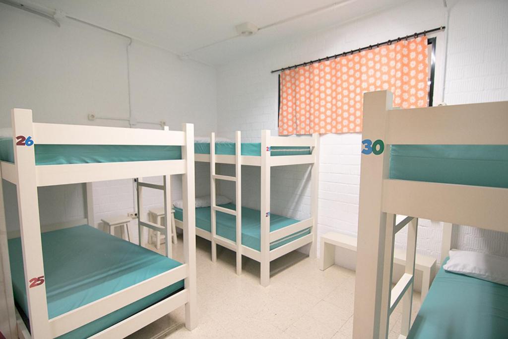 ALBERGUE ALOXA HOSTEL, photo 6