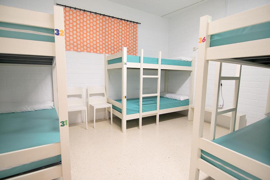 ALBERGUE ALOXA HOSTEL, photo 17