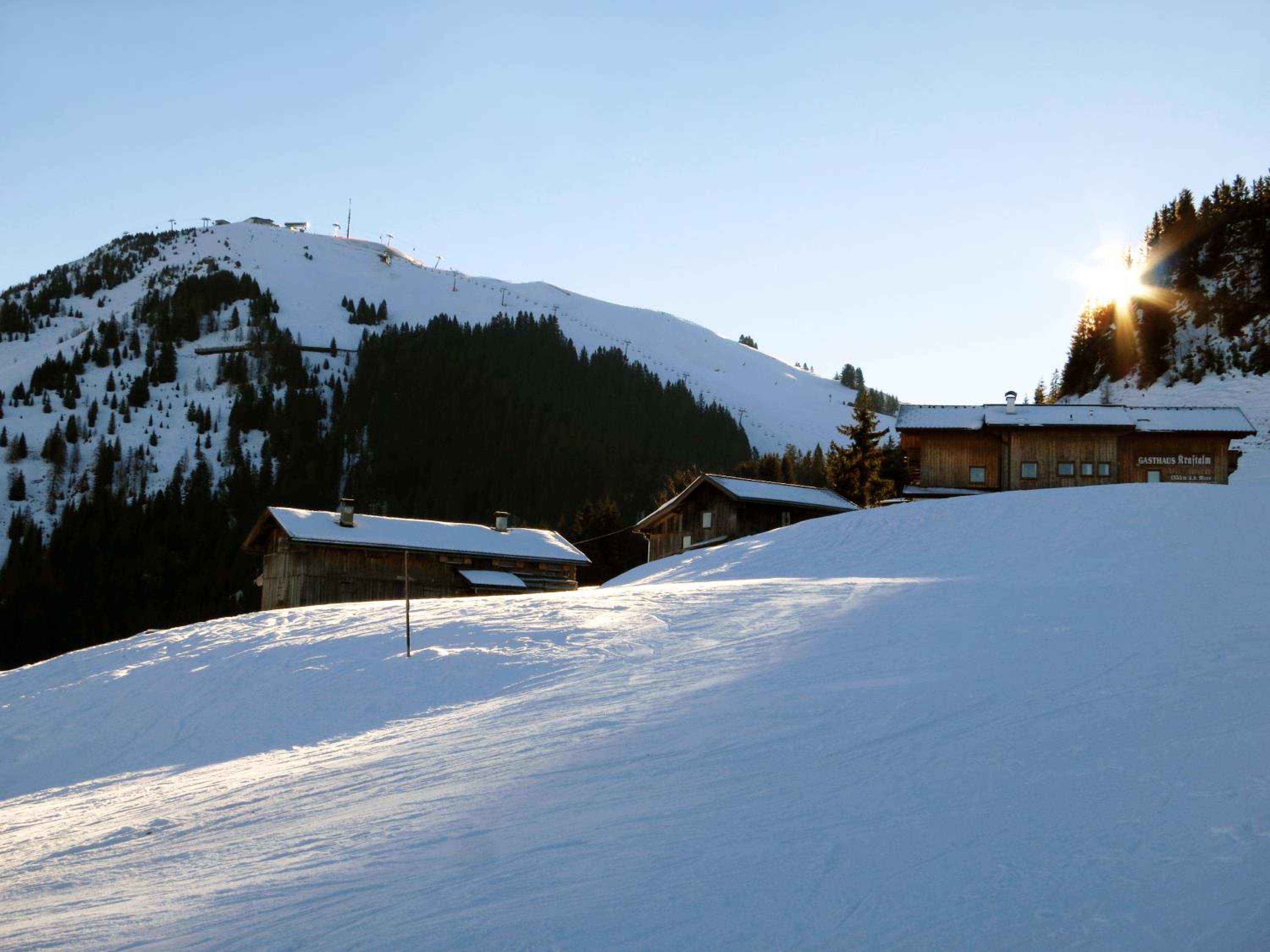 Kollerhof