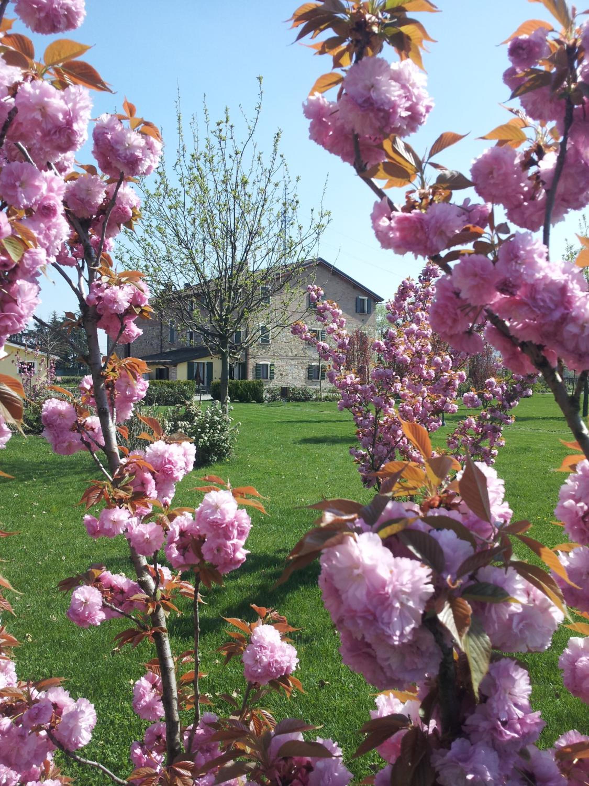Agriturismo Il Brugnolo