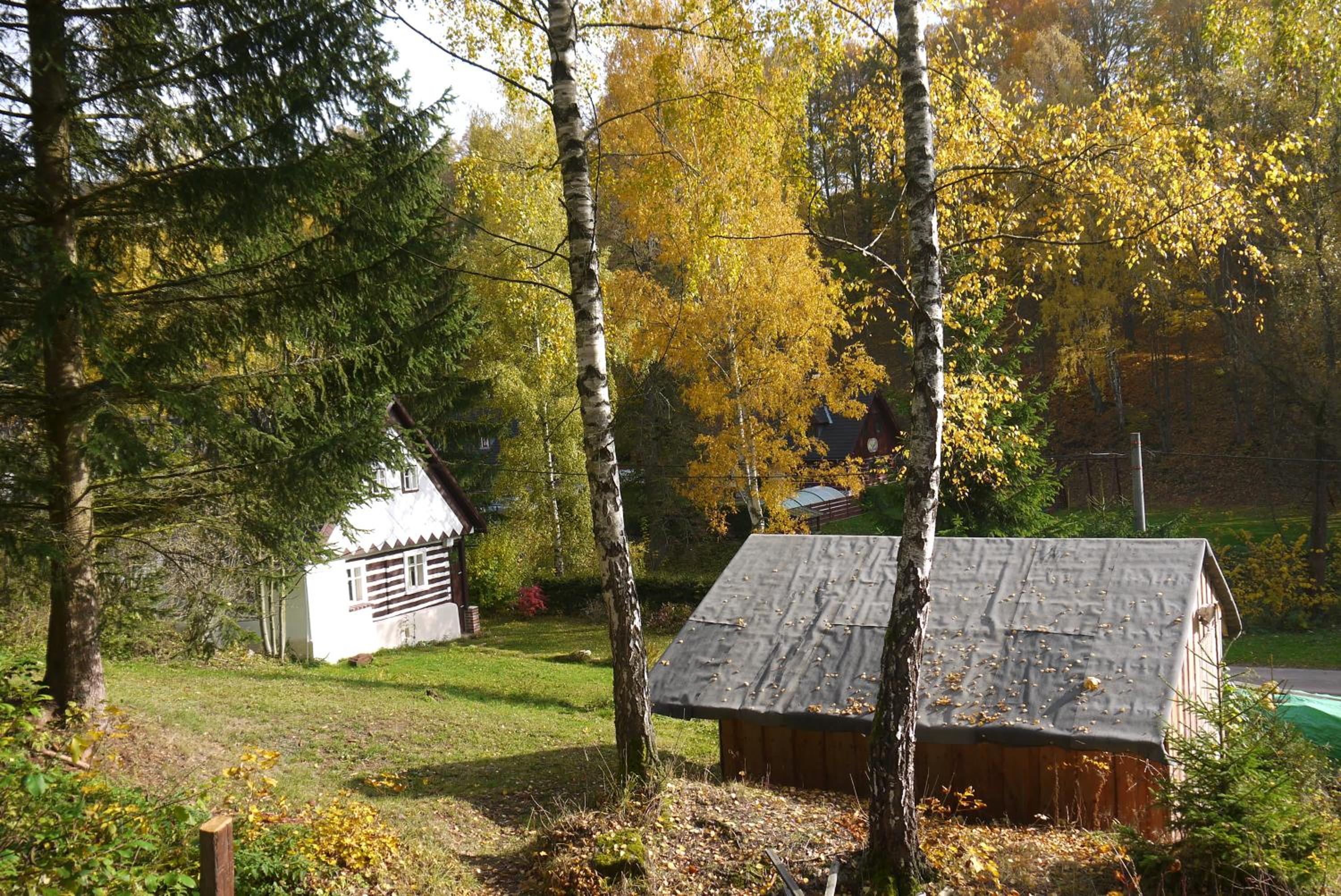 Photo 19