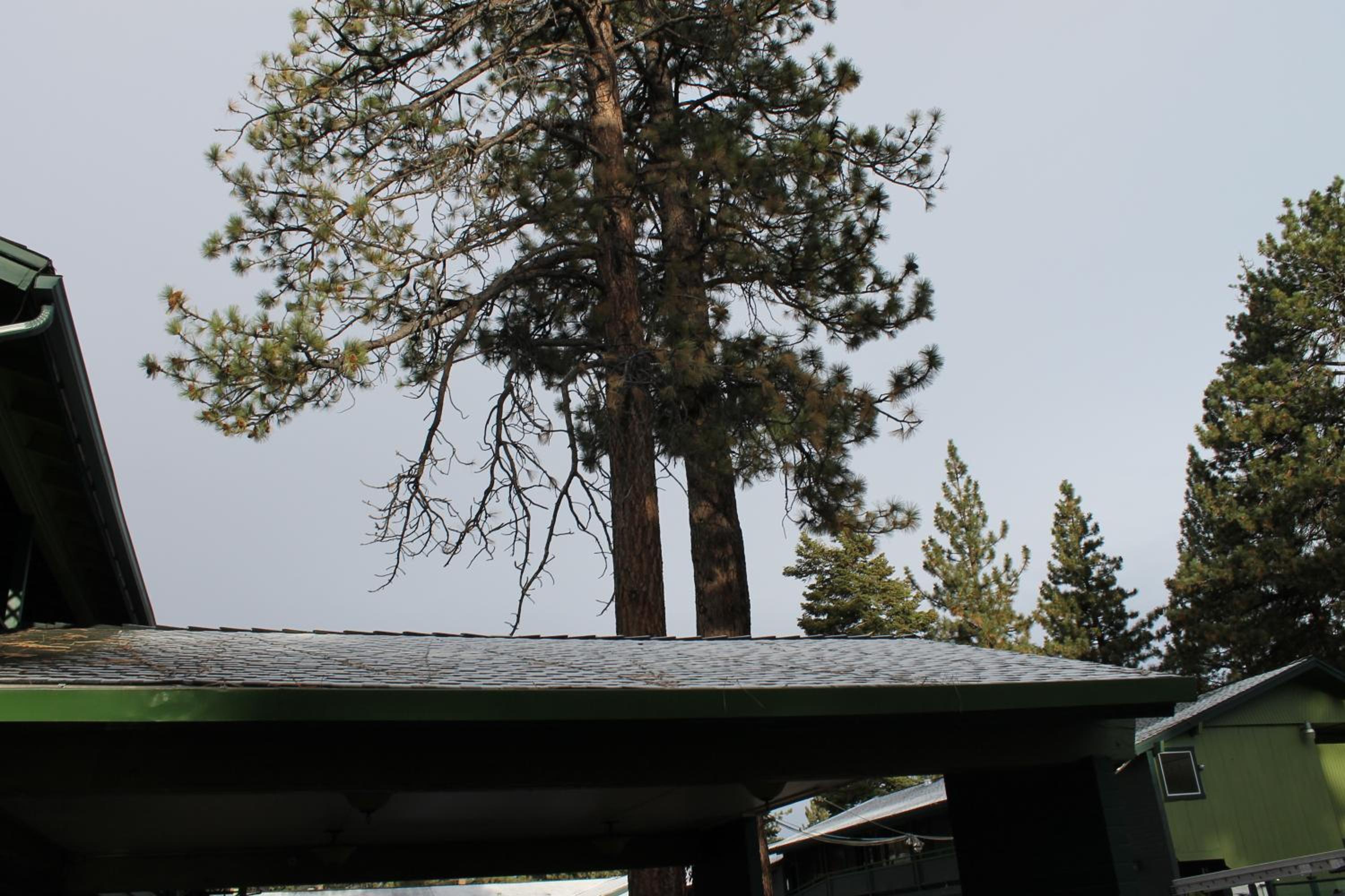 Lake Tahoe Vacations - Big Pines Mountain House - Property Image 165