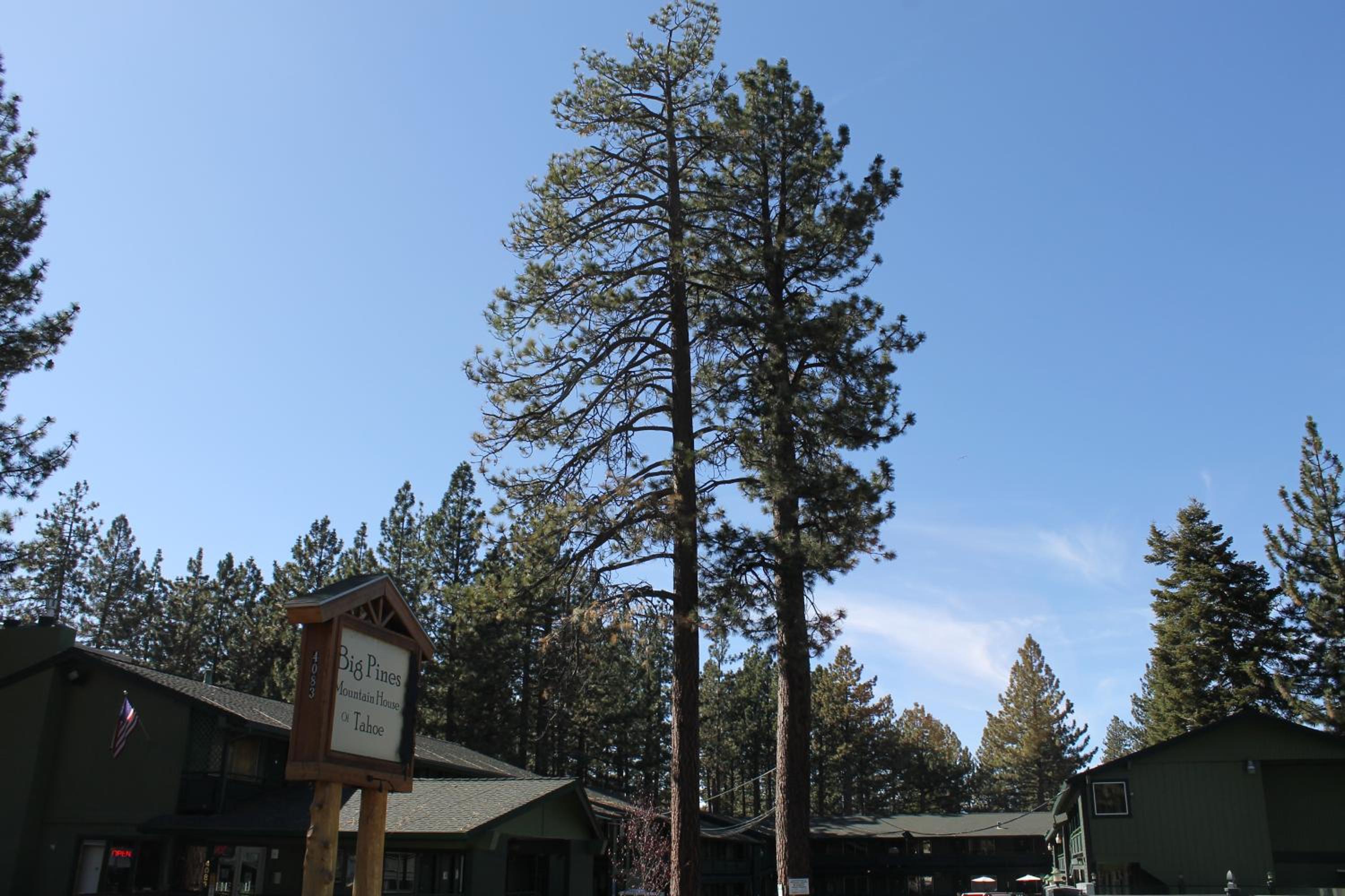 Lake Tahoe Vacations - Big Pines Mountain House - Property Image 202