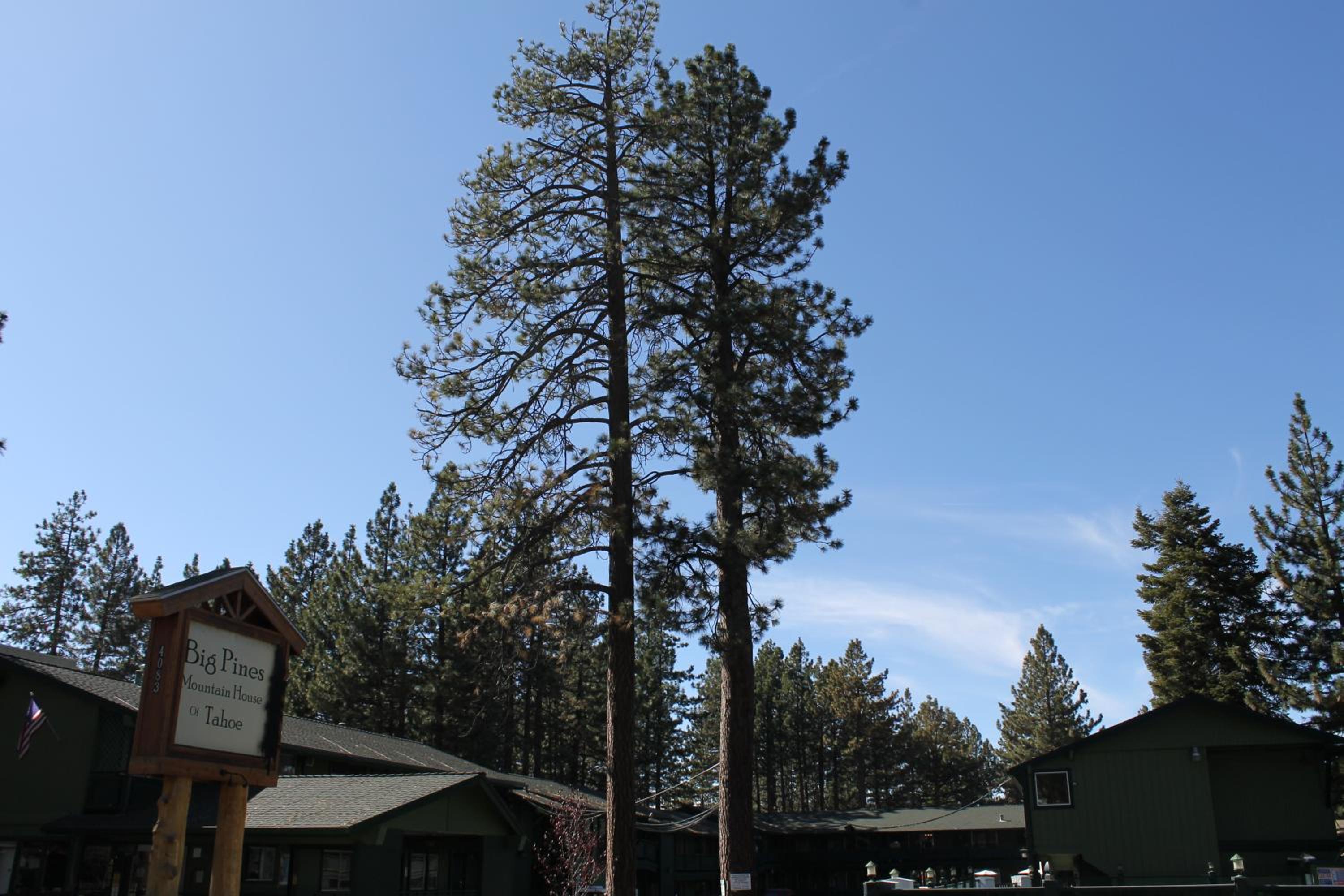 Lake Tahoe Vacations - Big Pines Mountain House - Property Image 206