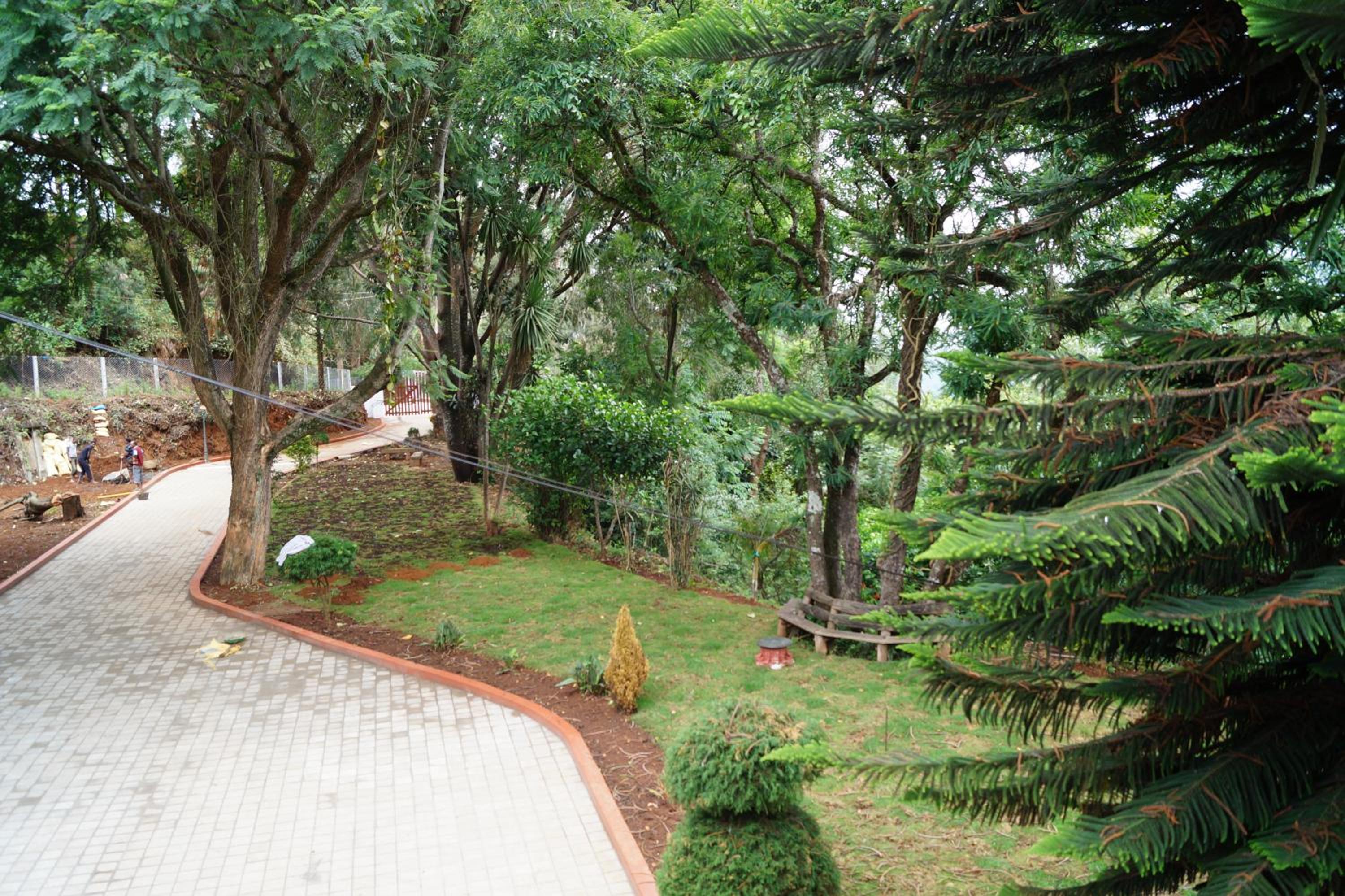 Photo 40
