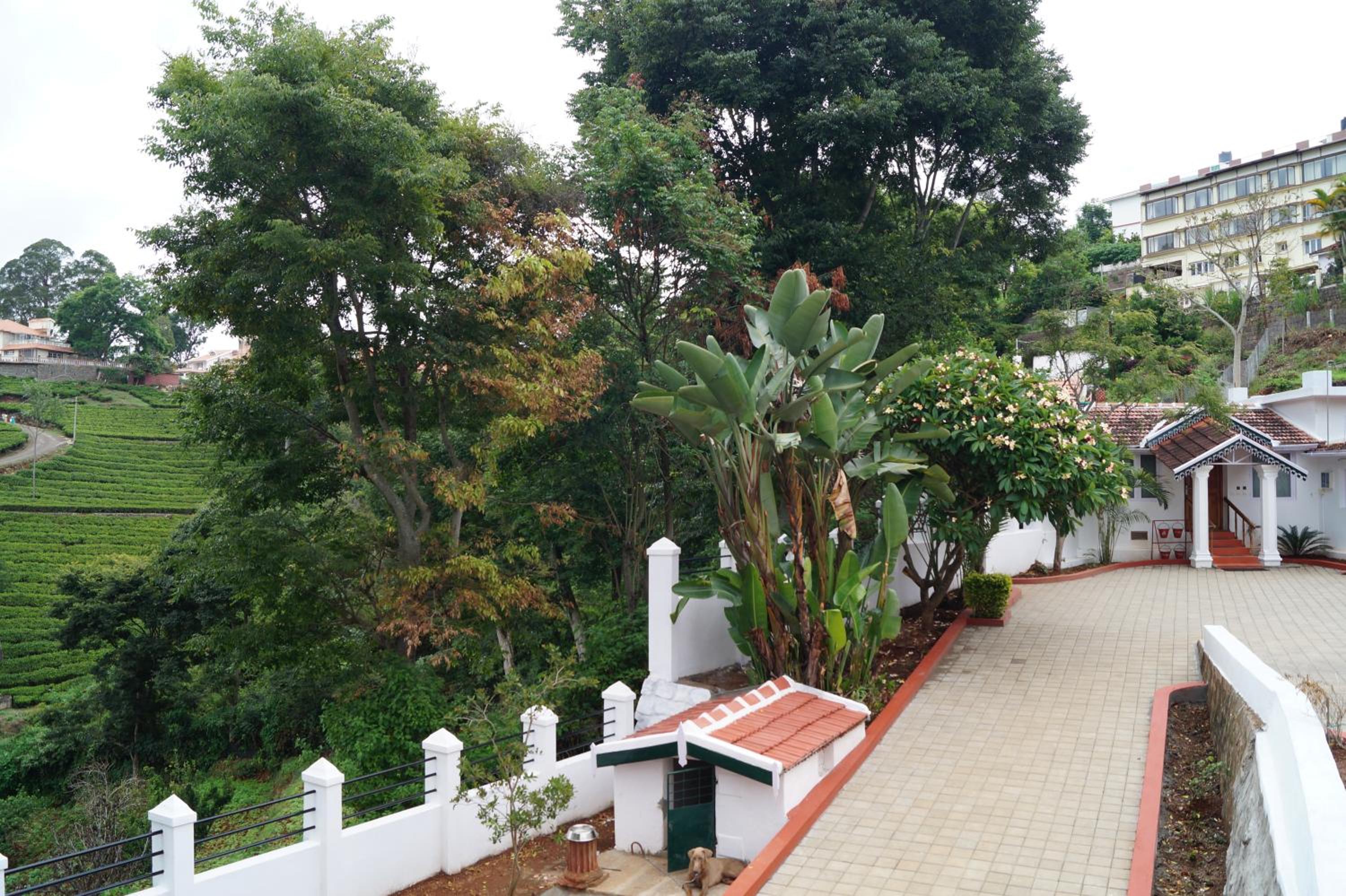 Photo 19