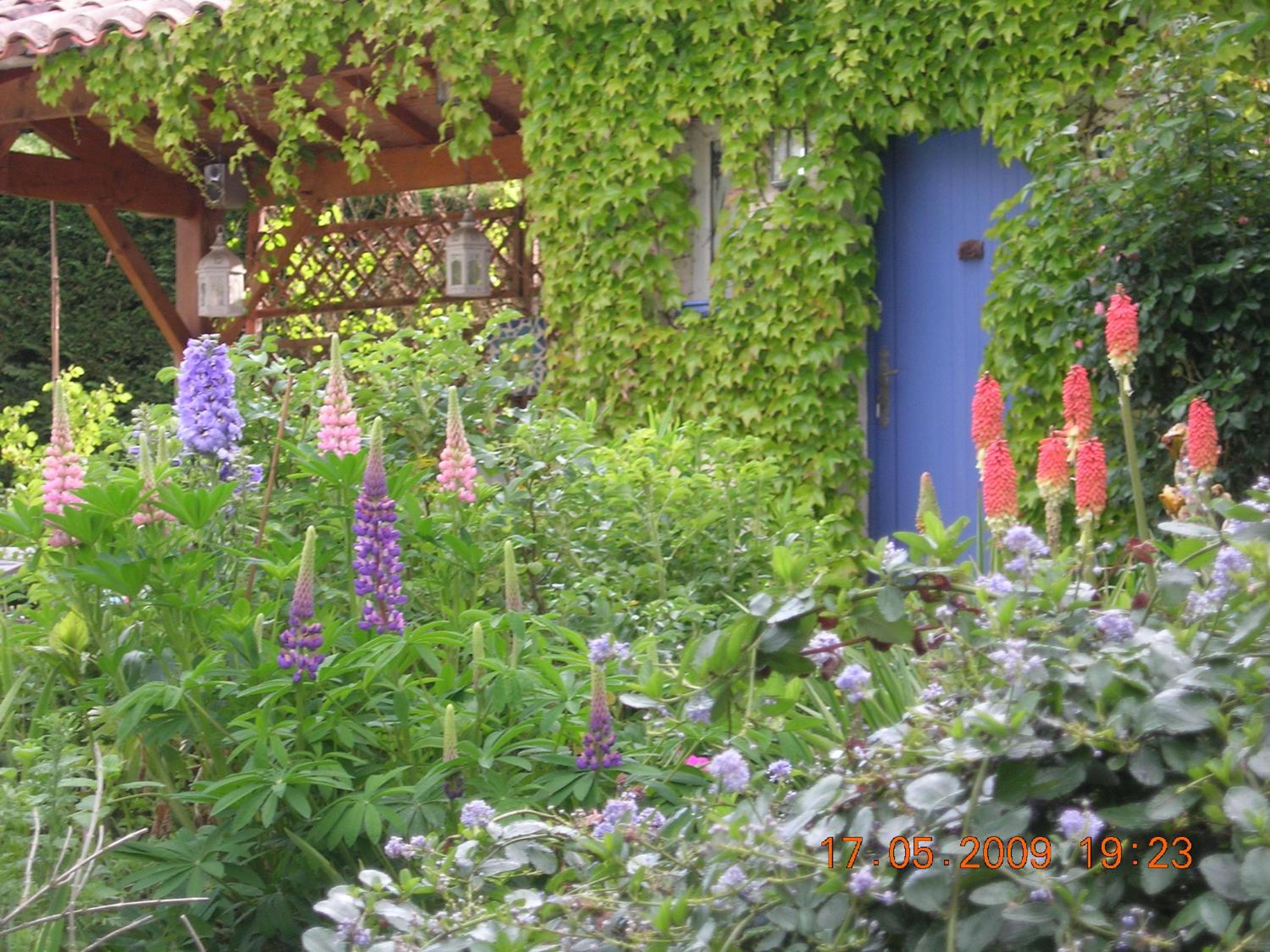 Photo 26