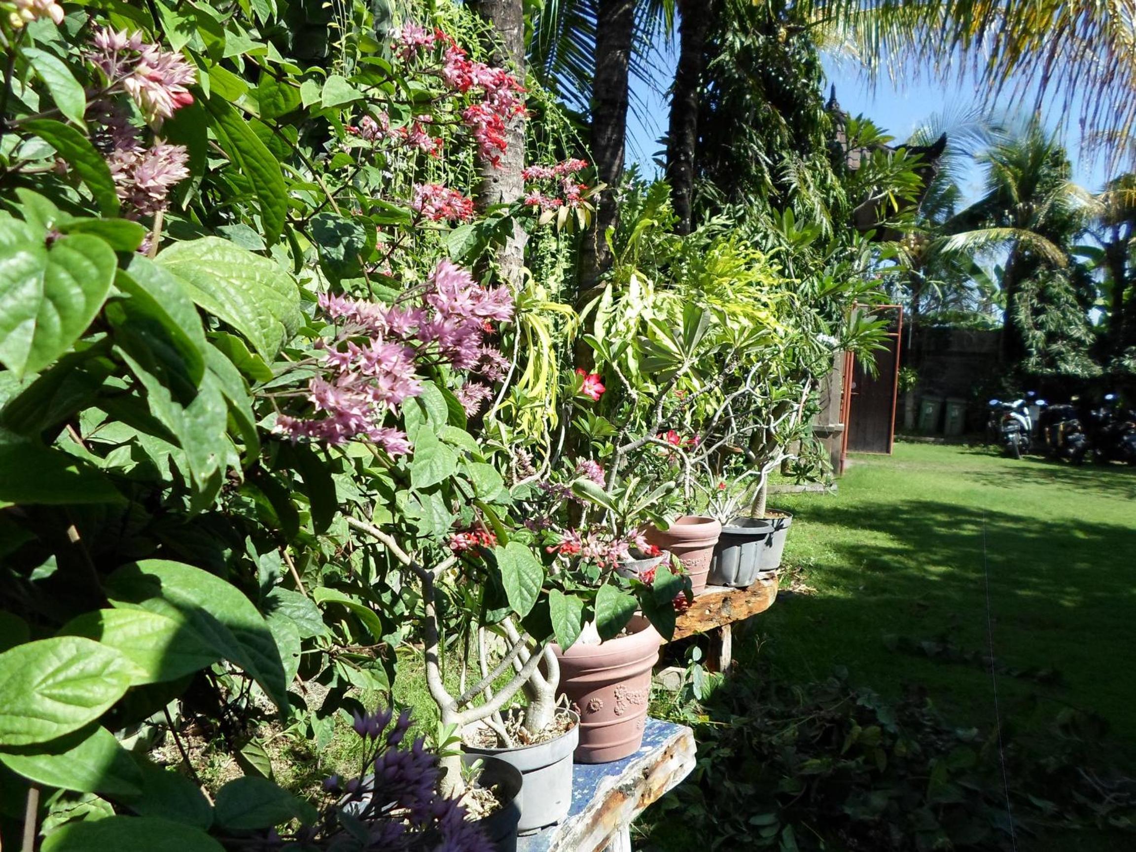 Photo 47