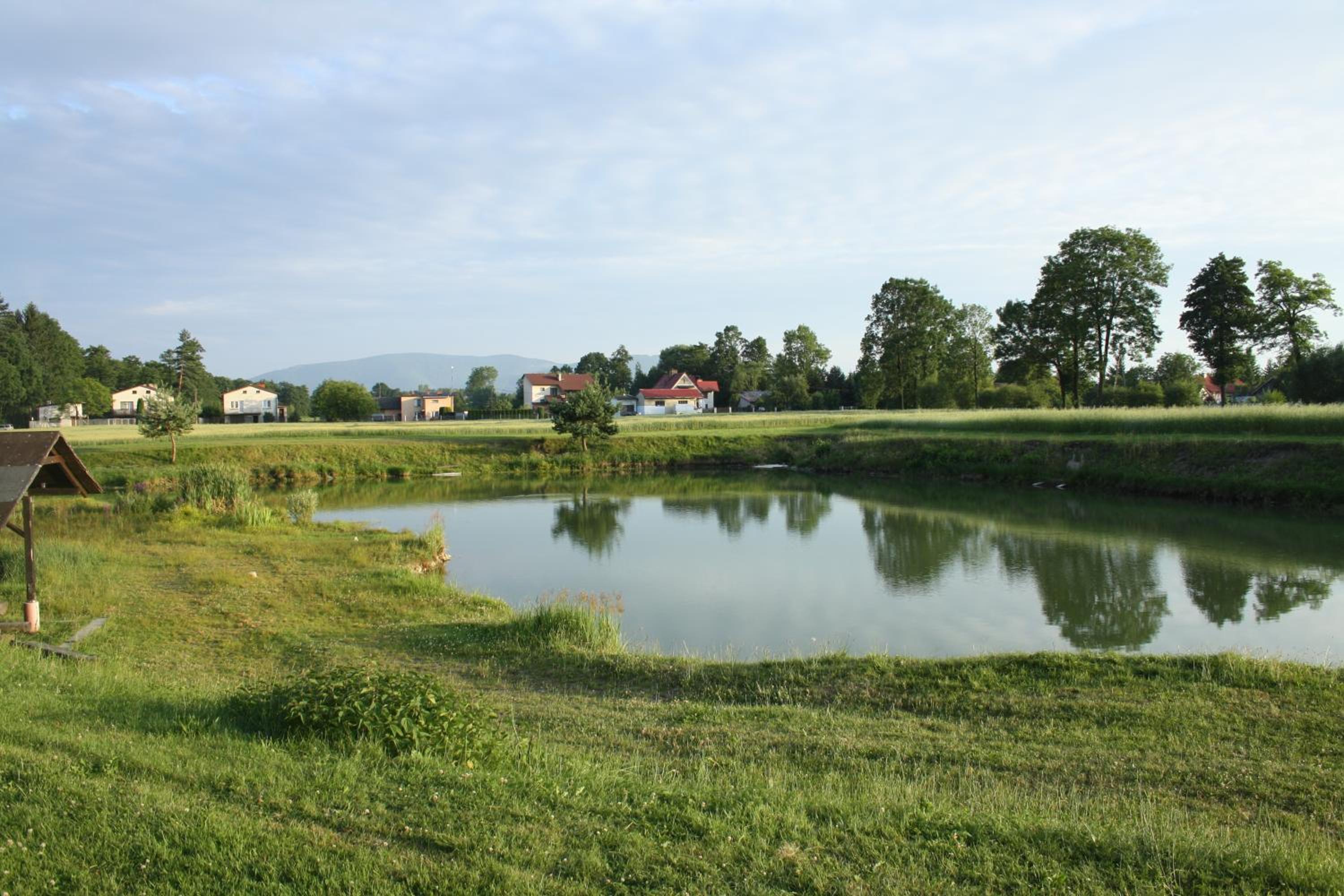 Photo 31