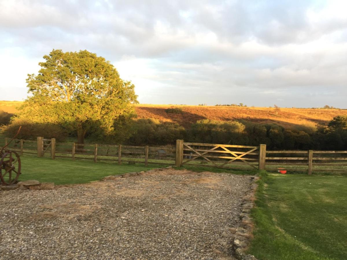 Folly Hall Farm