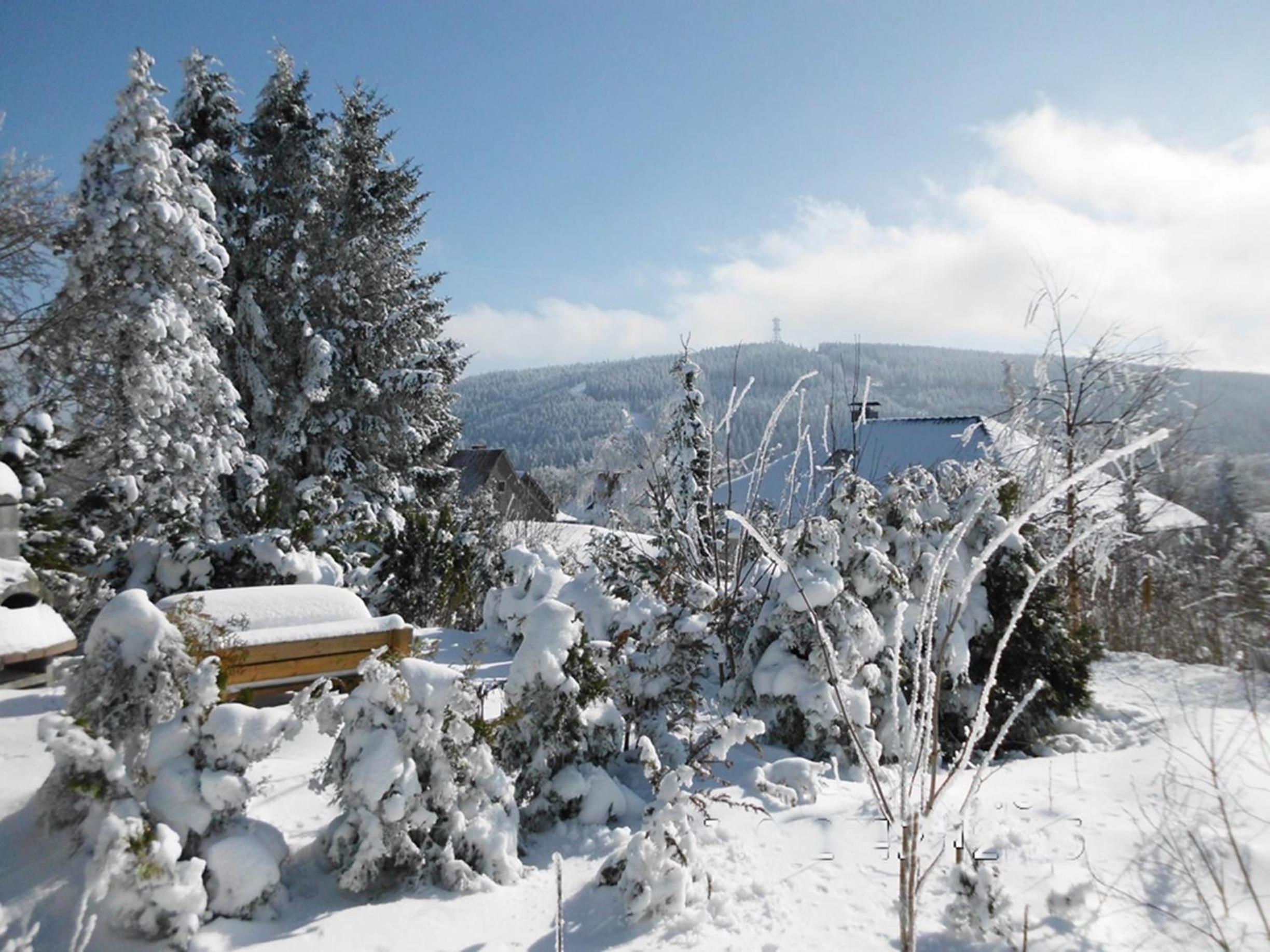 Premium-Ferienwohnungen Bergblick im Haus Hopfe