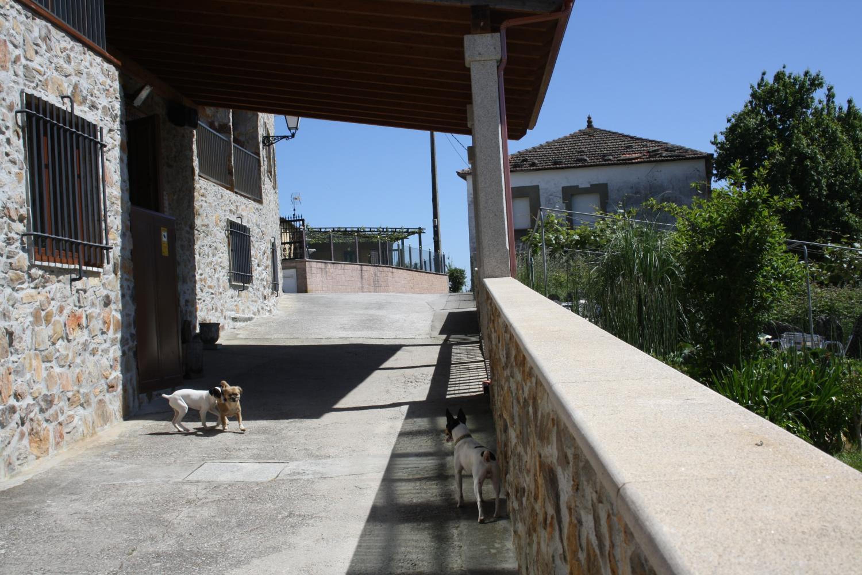 Casa Felisa Marcelle