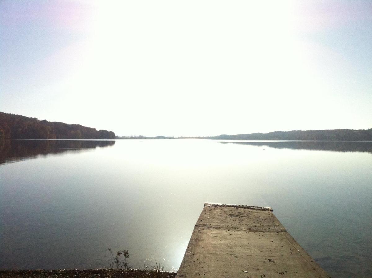Chalet am Pilsensee view 4