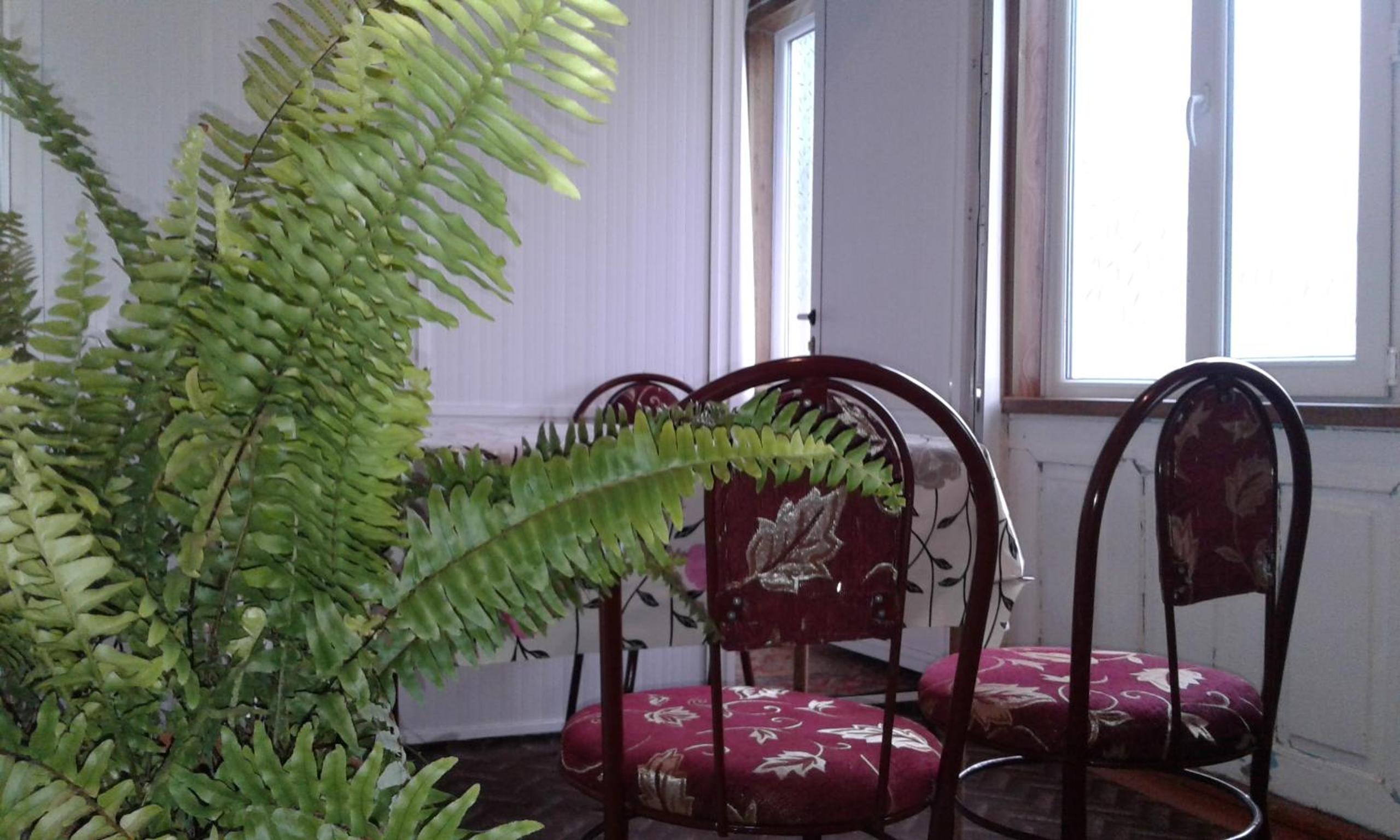Ilgar's Guesthouse