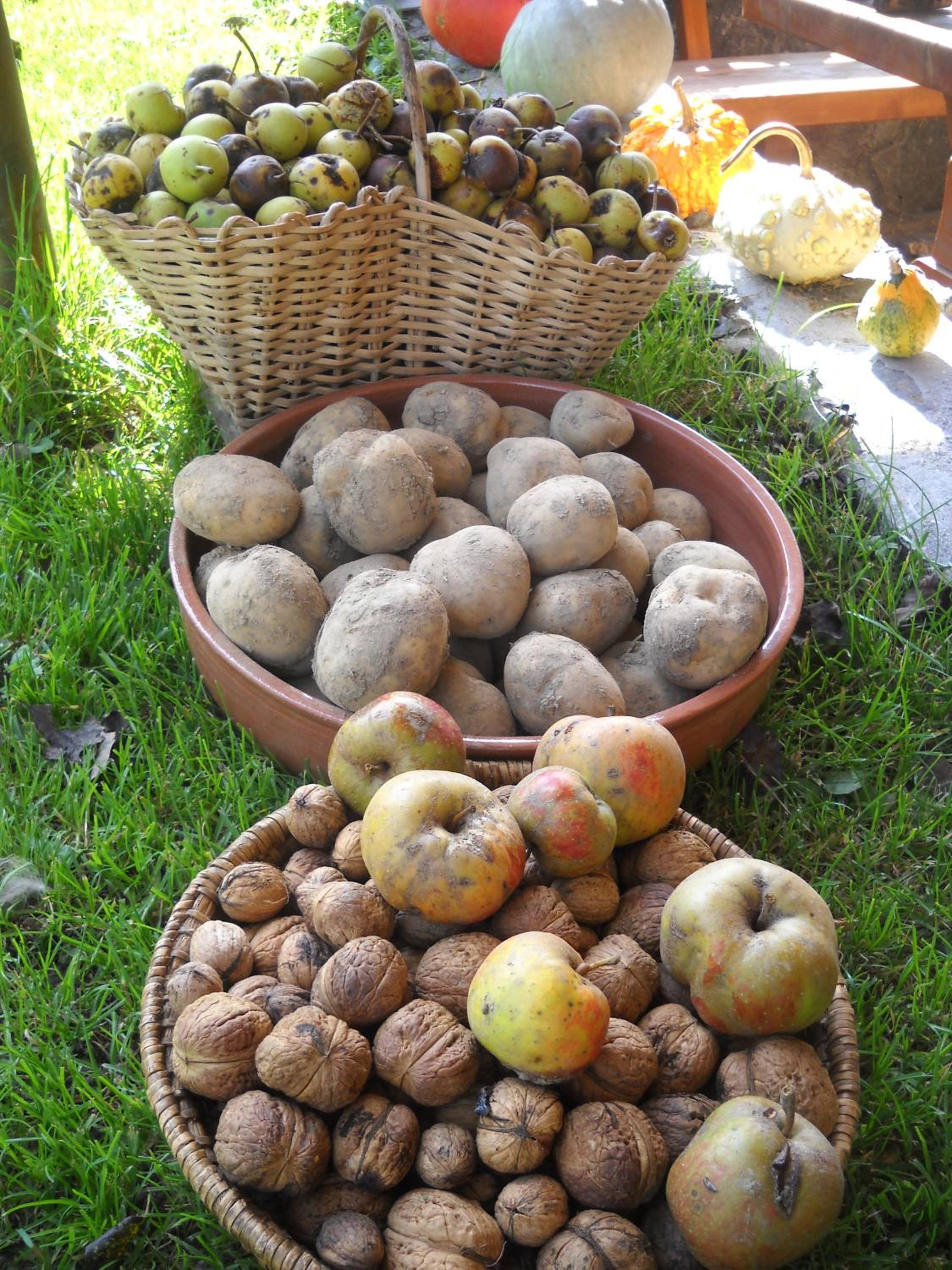 Farm Pri Flandru view 3