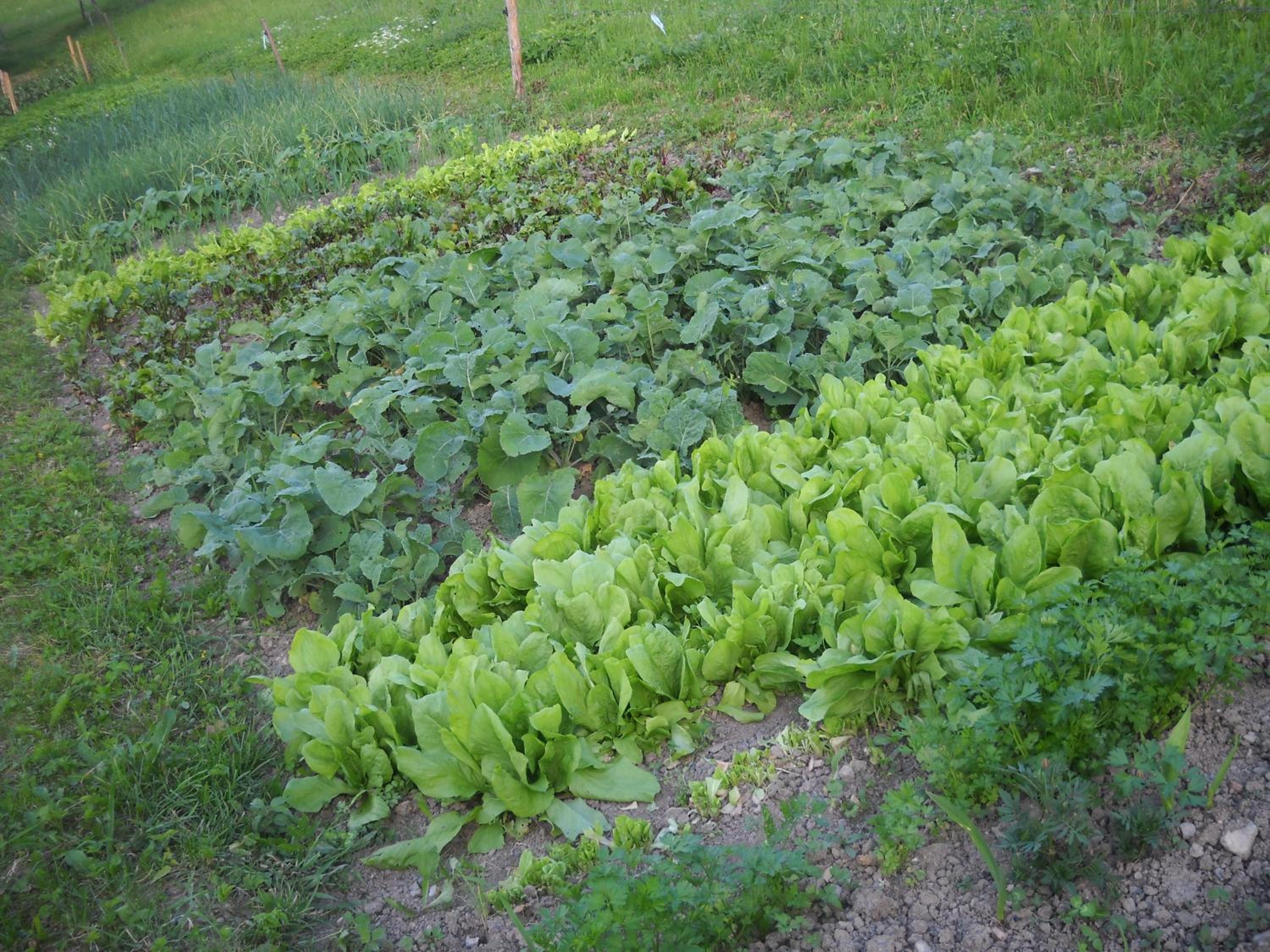 Photo 24