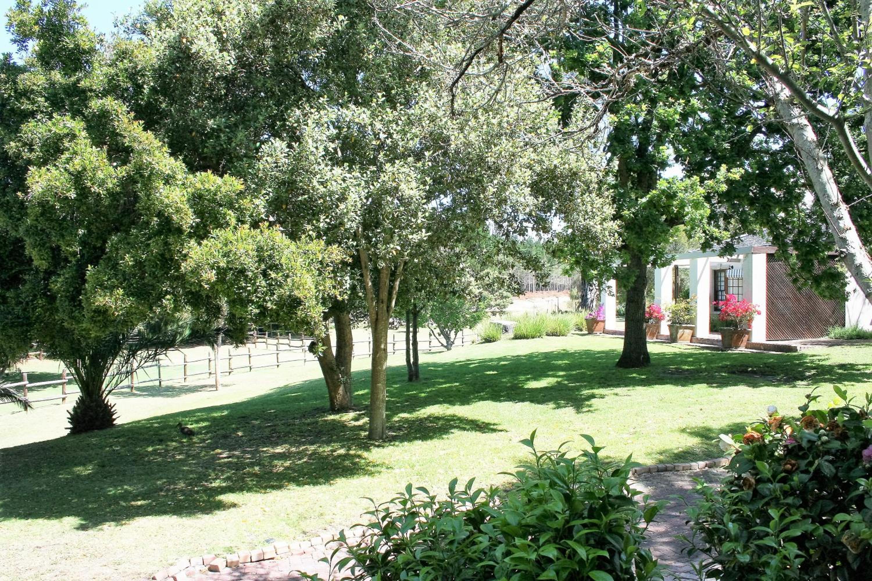 Ibis House