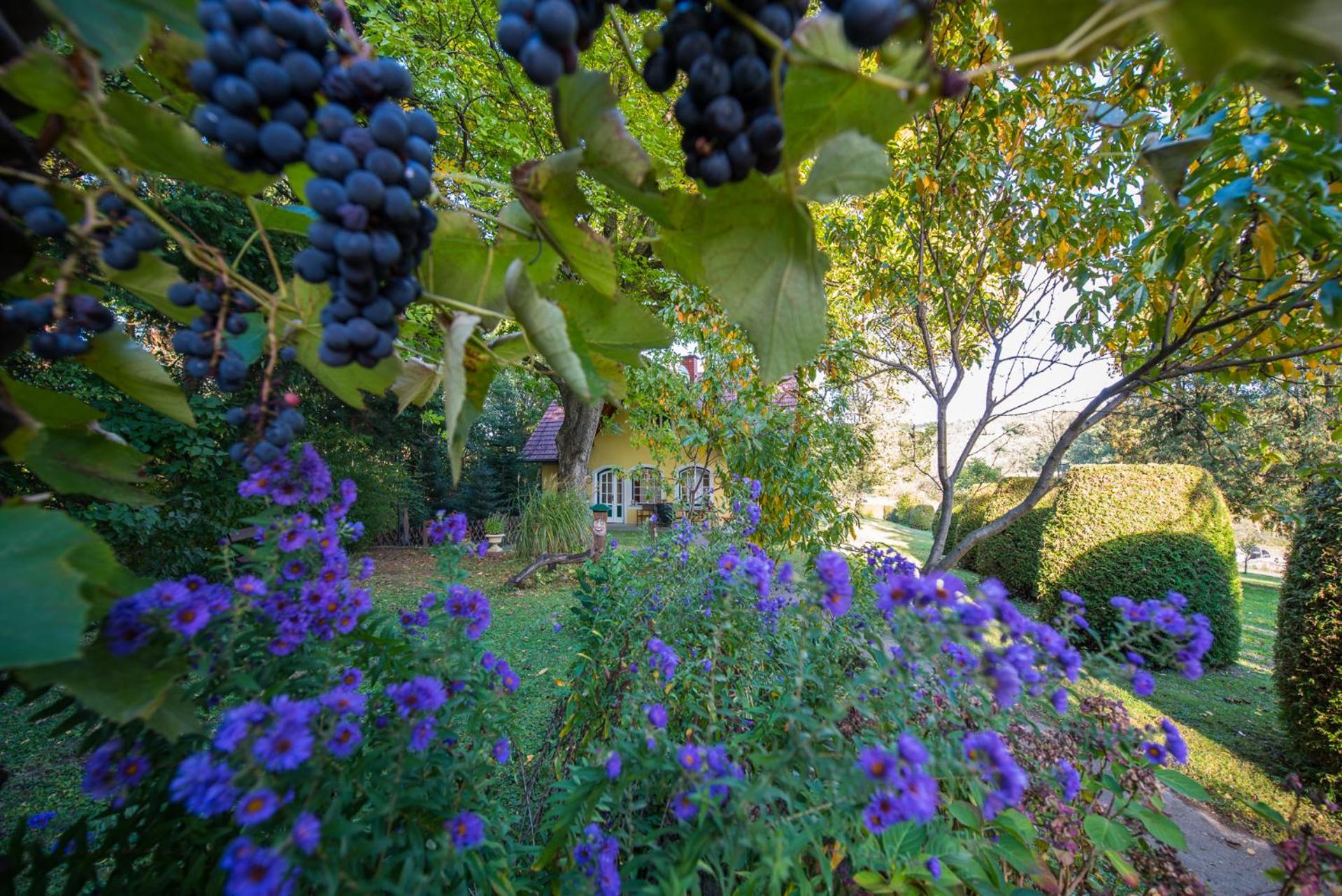 Winemakers Escape