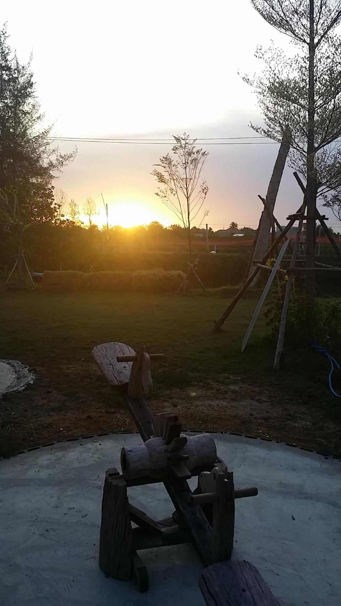 Photo 46