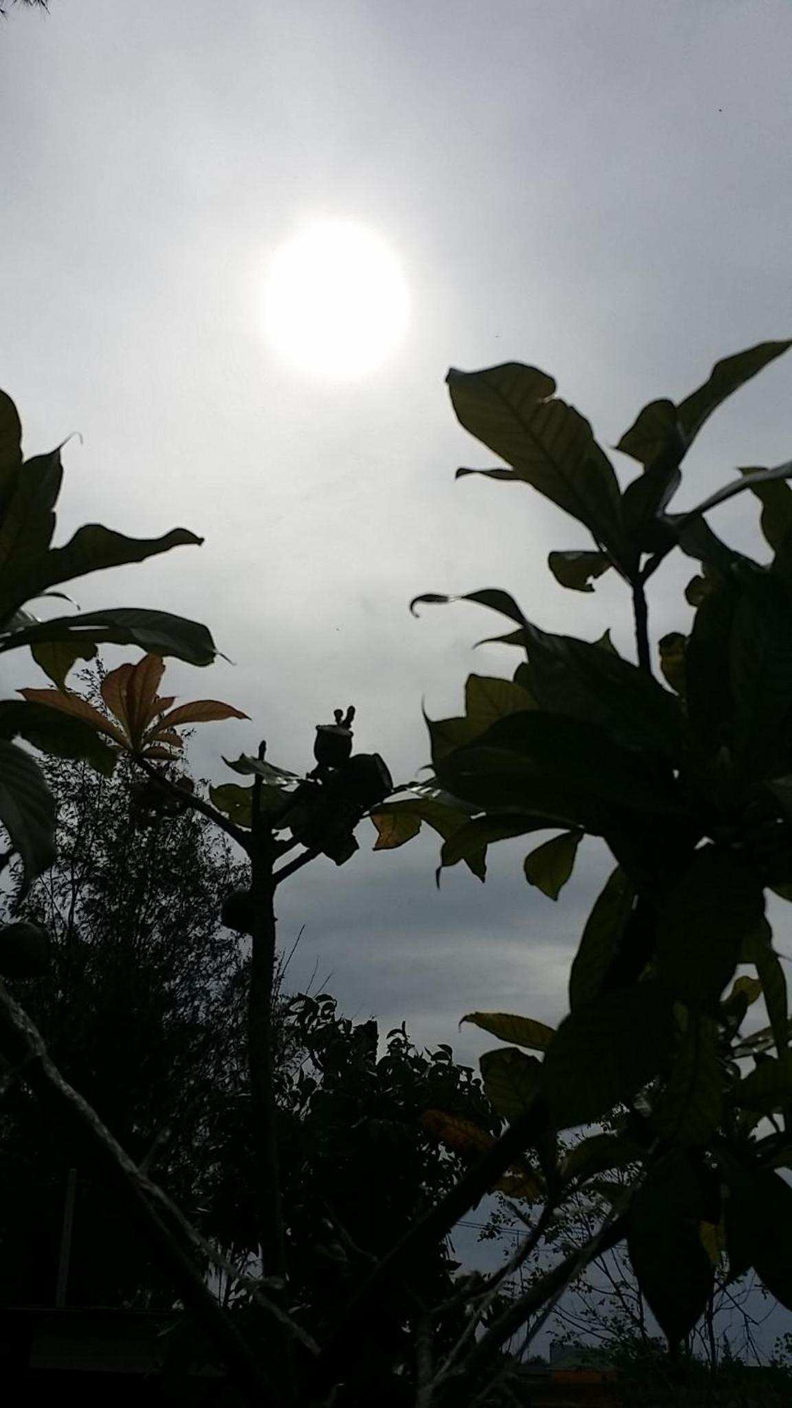 Photo 47