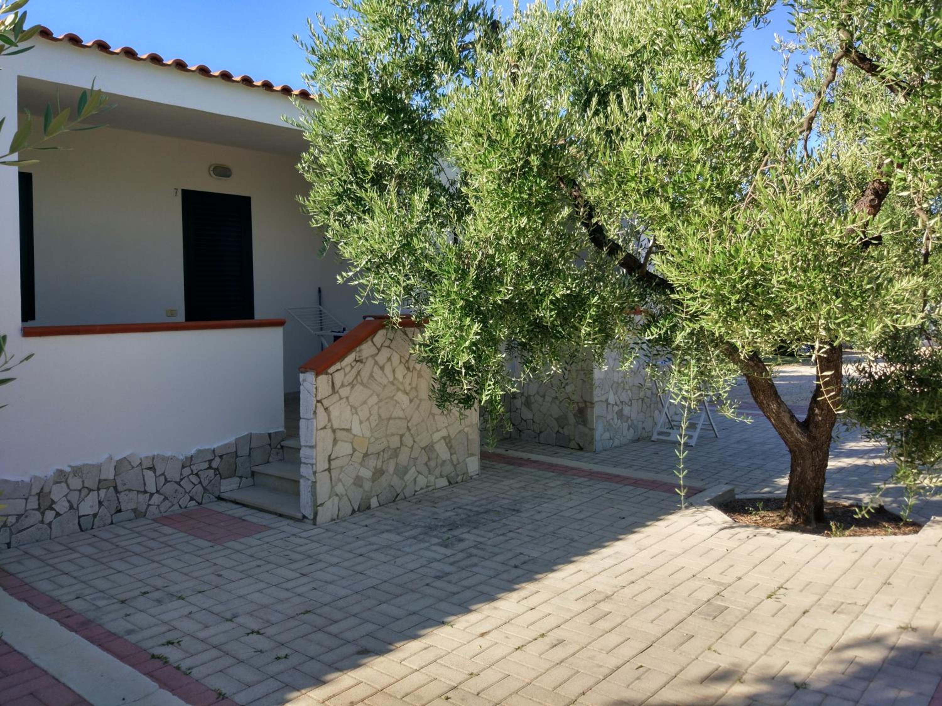 Tenuta Montincello photo 5