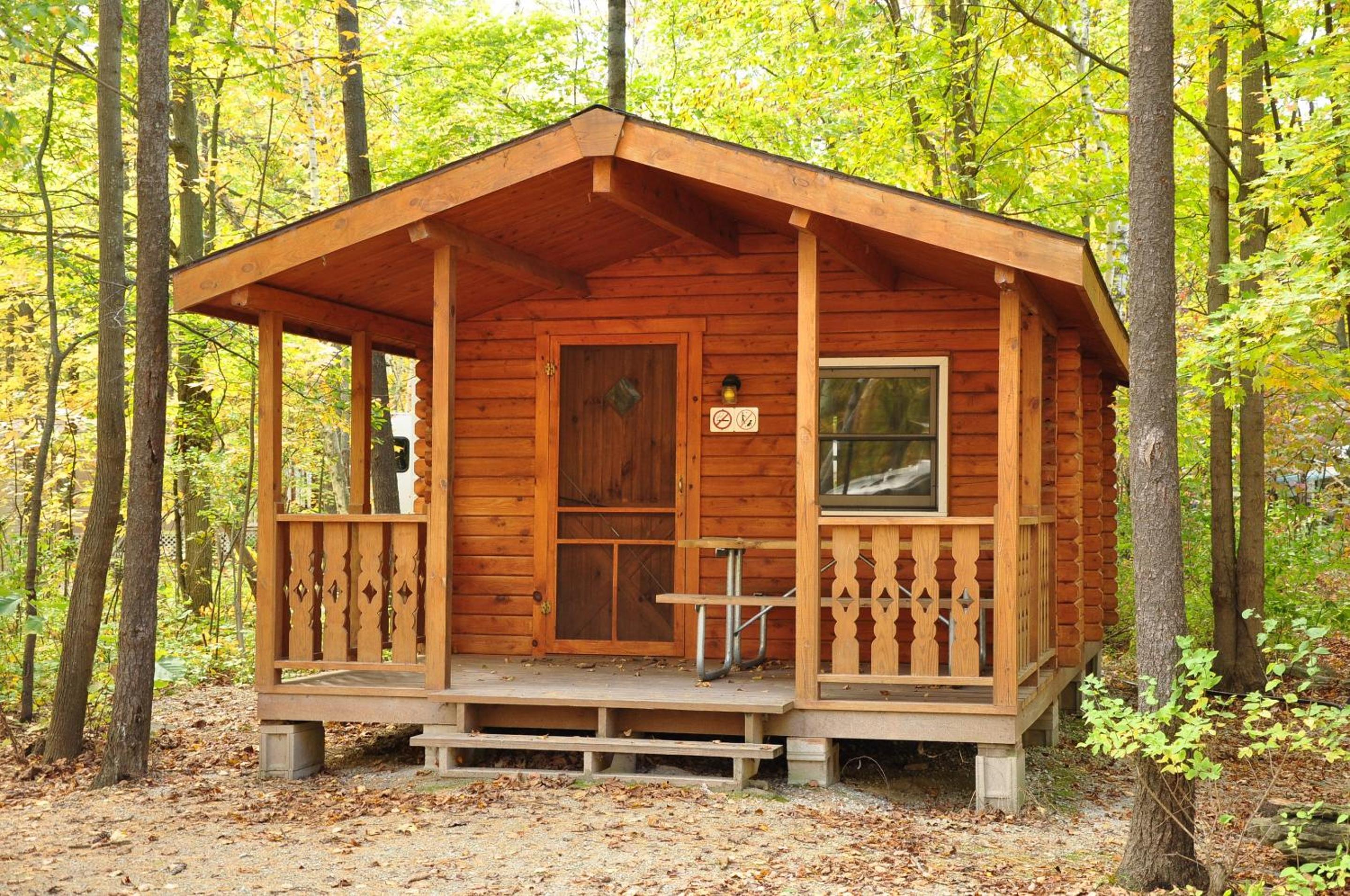 Tranquil Timbers Cabin 11 view 4