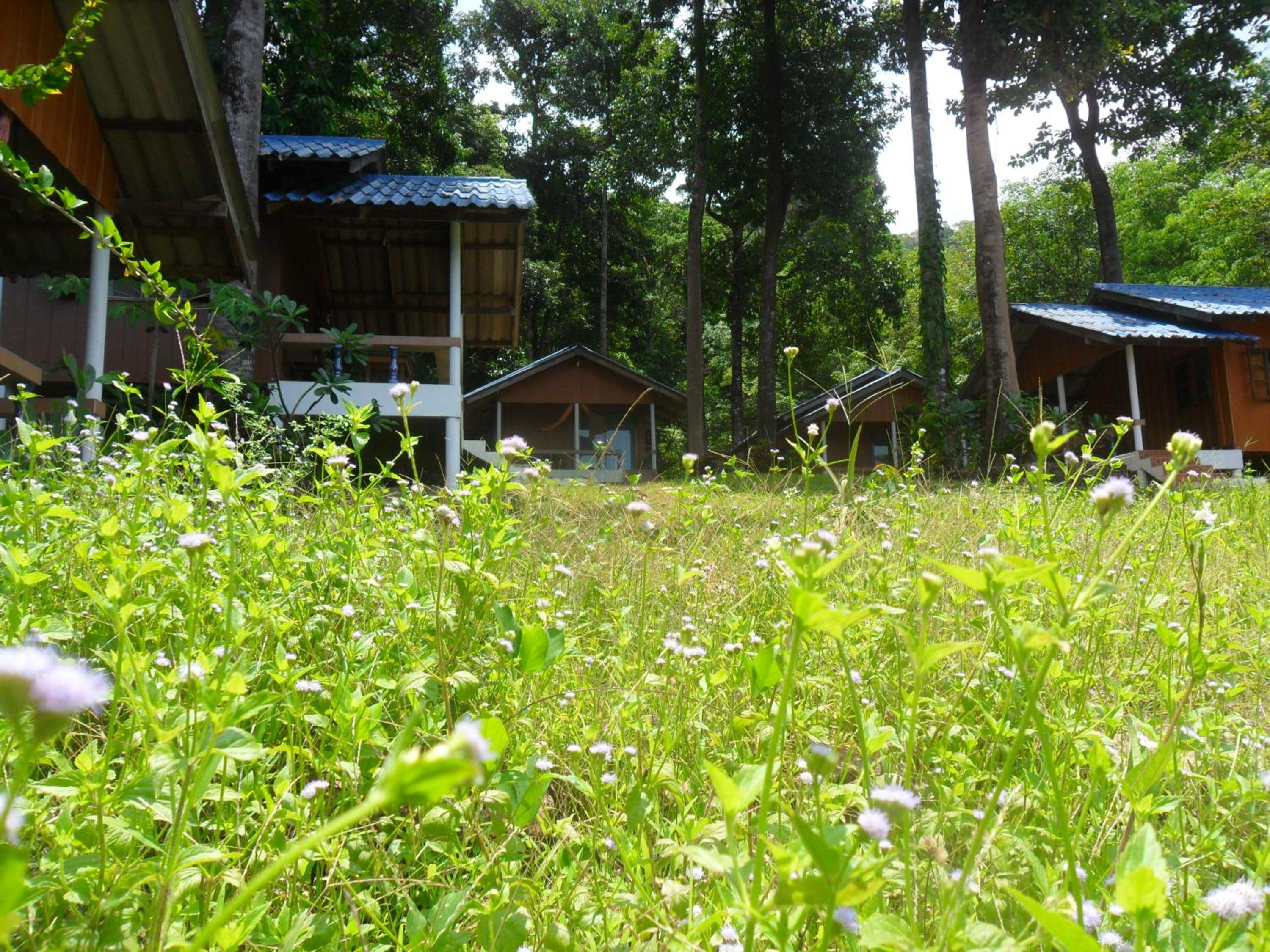 Photo 23