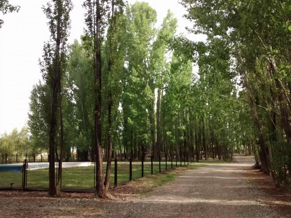 Terrazas En El Bosque Cabañas